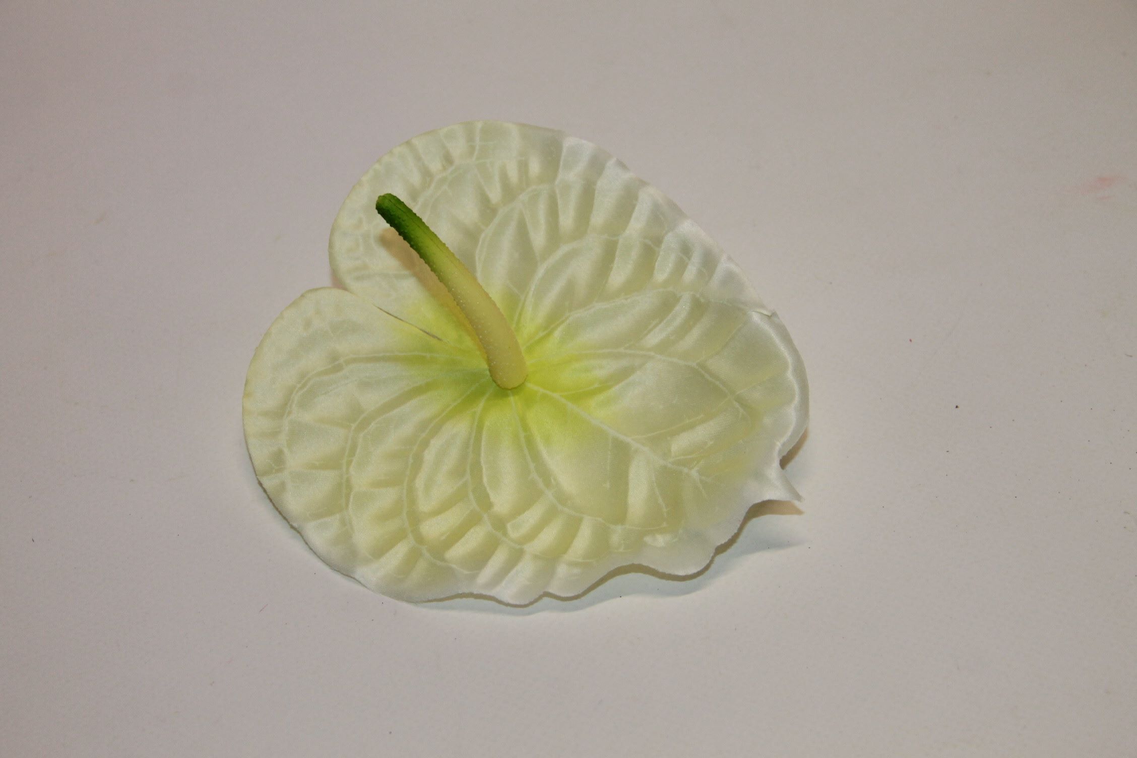 ANTURIUM SATYNOWE ': kremowo/zielony