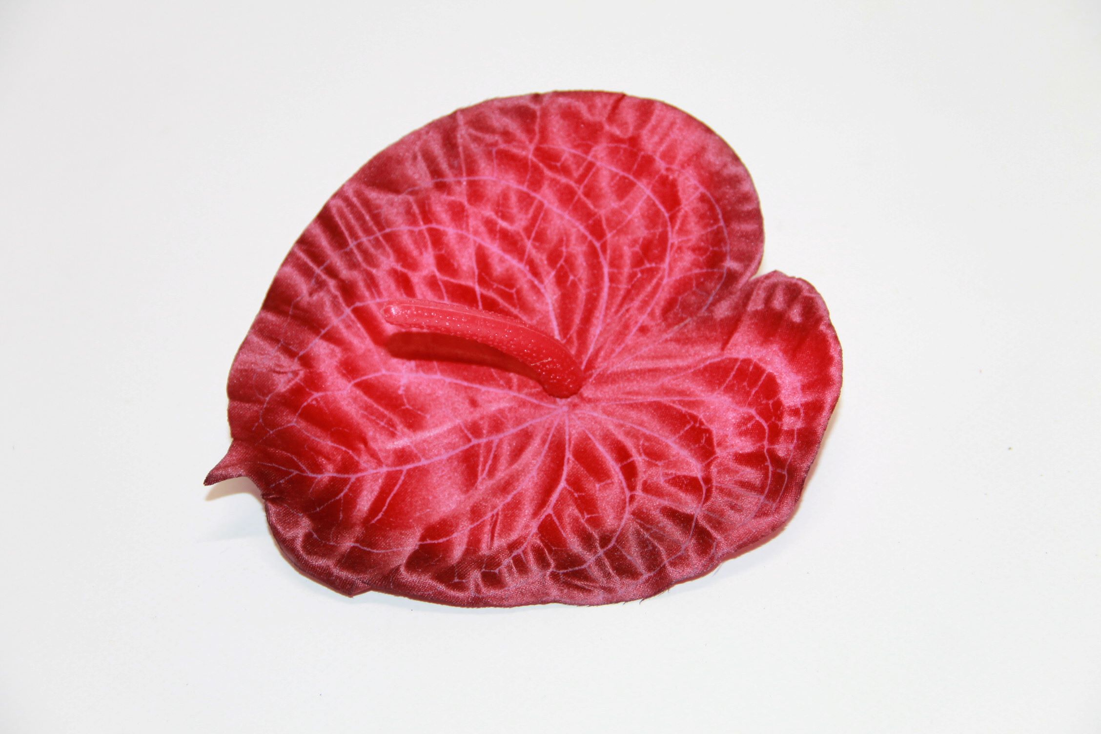 ANTURIUM SATYNOWE ': BORDOWY