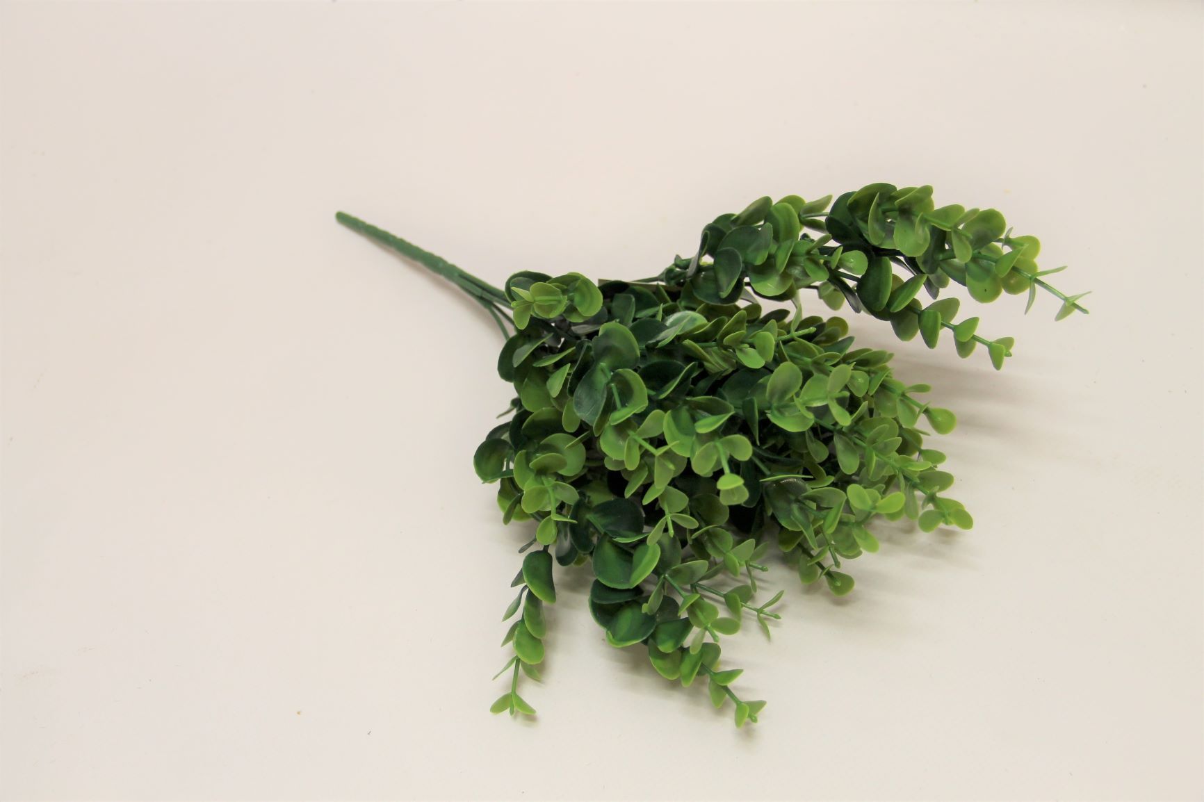 BUKIET BORÓWKI ŚREDNIA