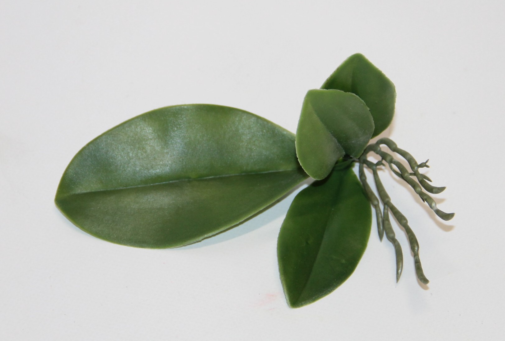 LIŚĆ STORCZYKA MAŁY