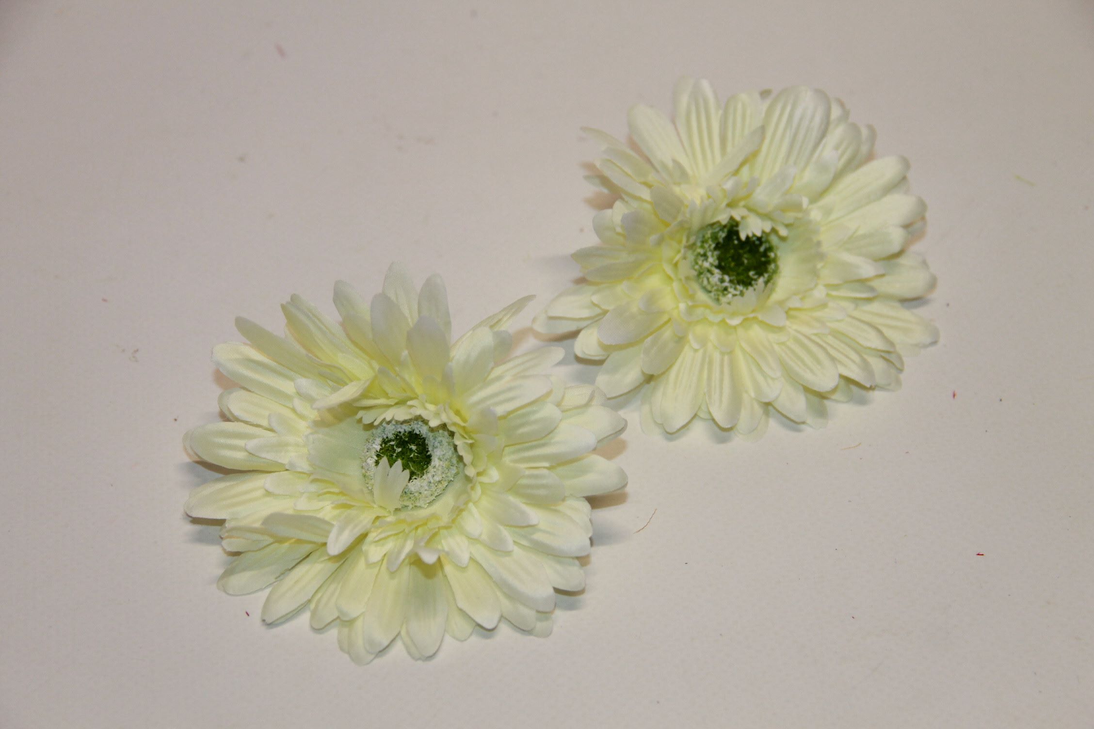 GERBERA WYROBOWA • ,;: #2053 CREAM