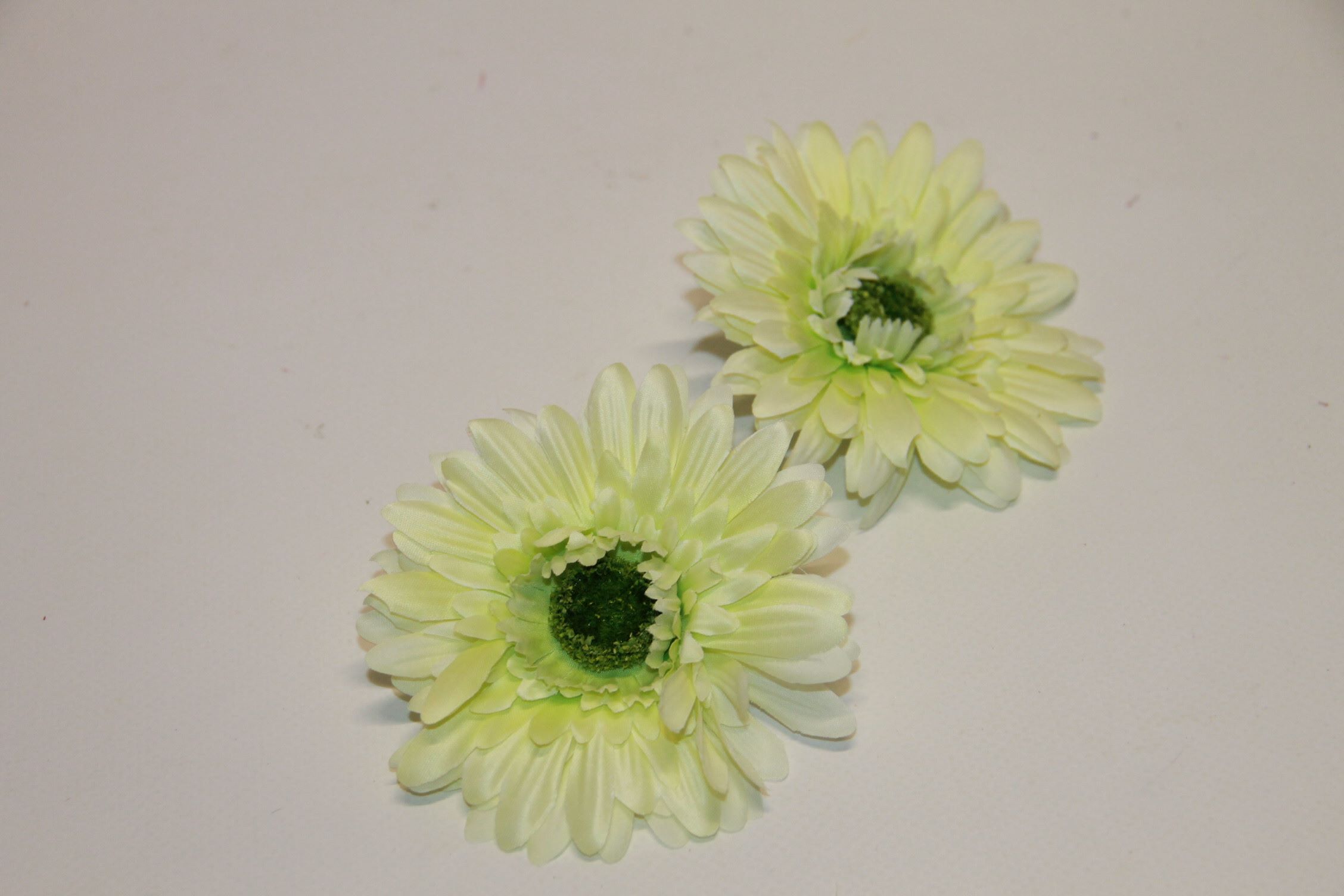 GERBERA WYROBOWA • ,;: #2019ALT.GREEN