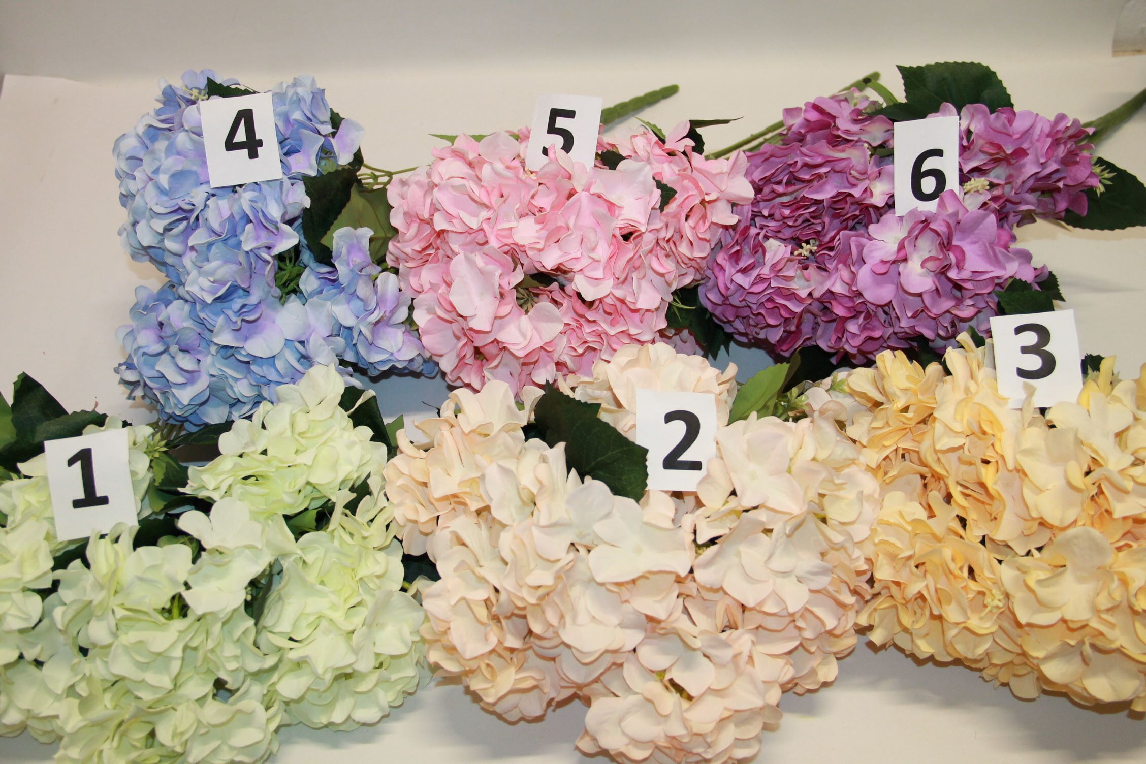 BUKIET HORTENSJA X15