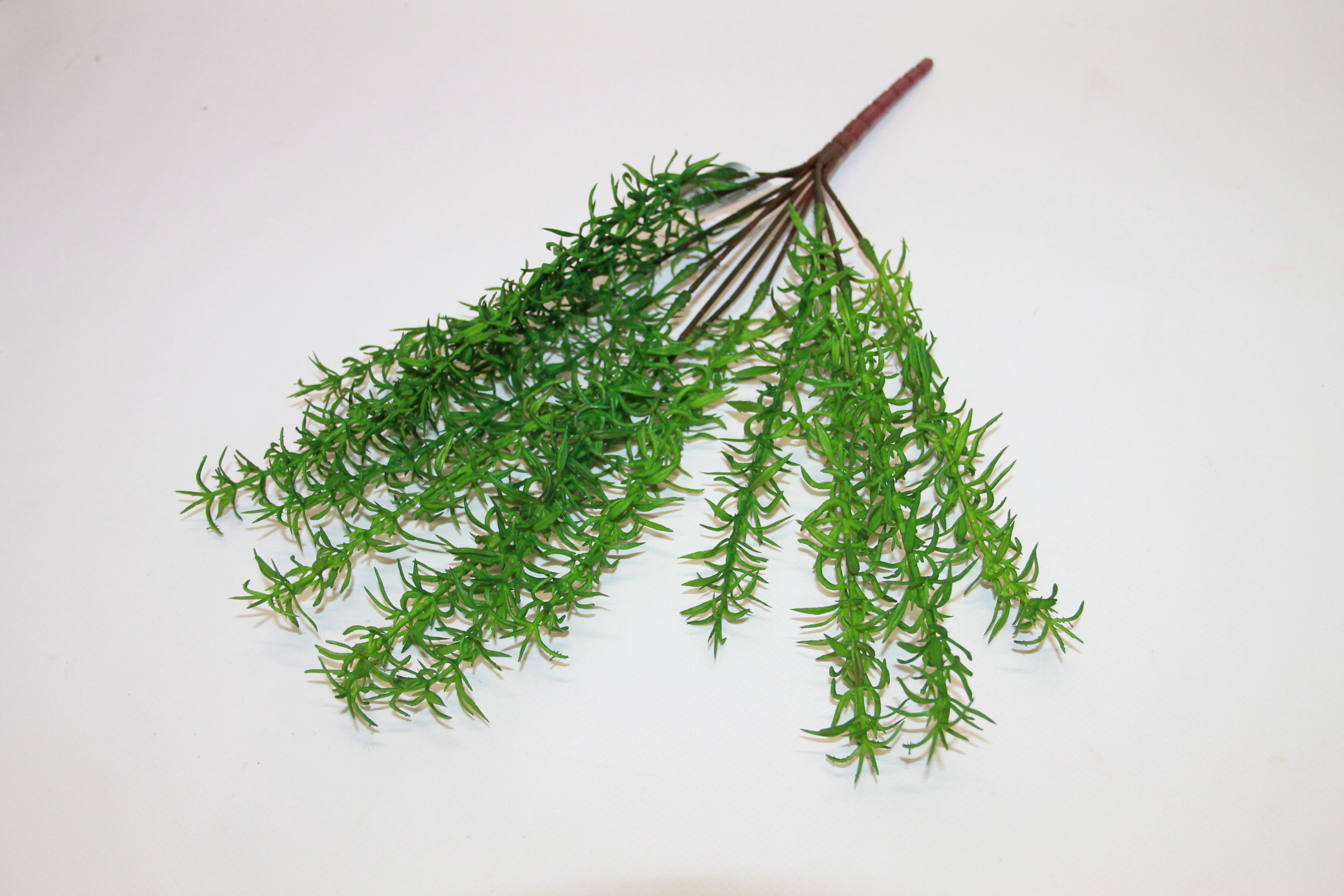 ASPARAGUS BUKIET X 13