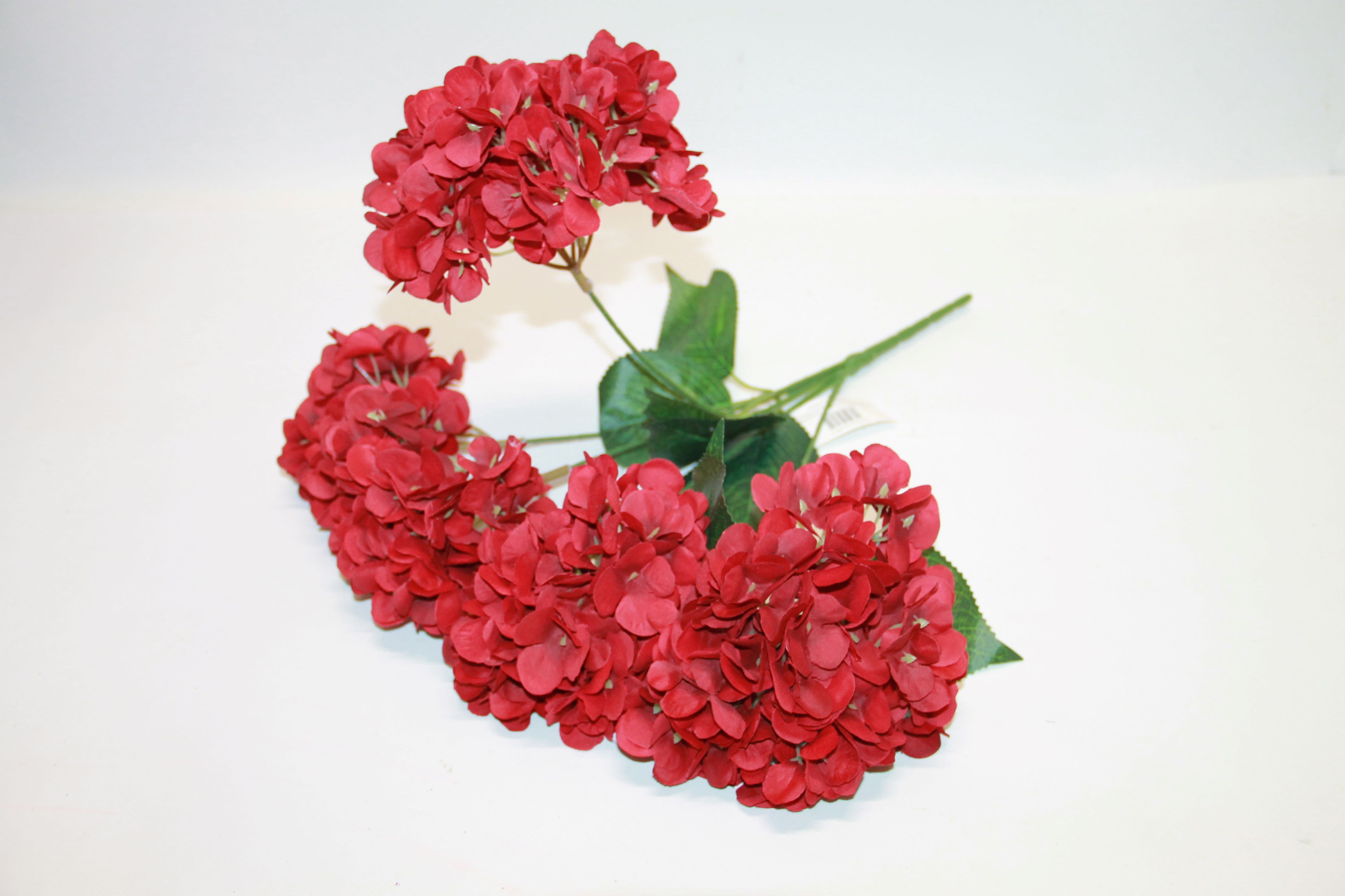 BUKIET HORTENSJA X5 RED 