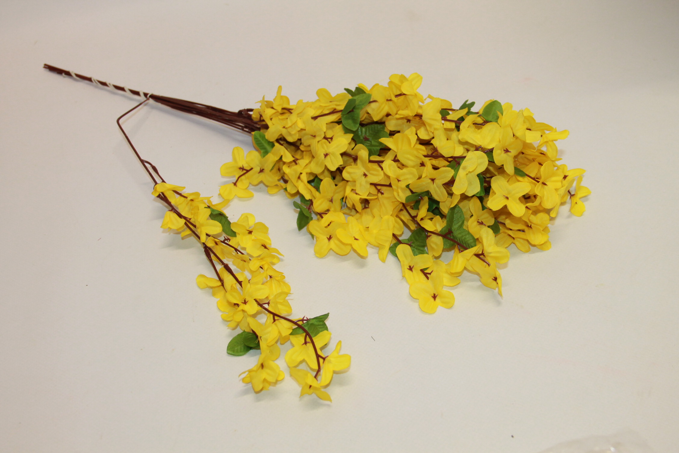 FORSYCJA GAŁĄZKA (12 SZT)