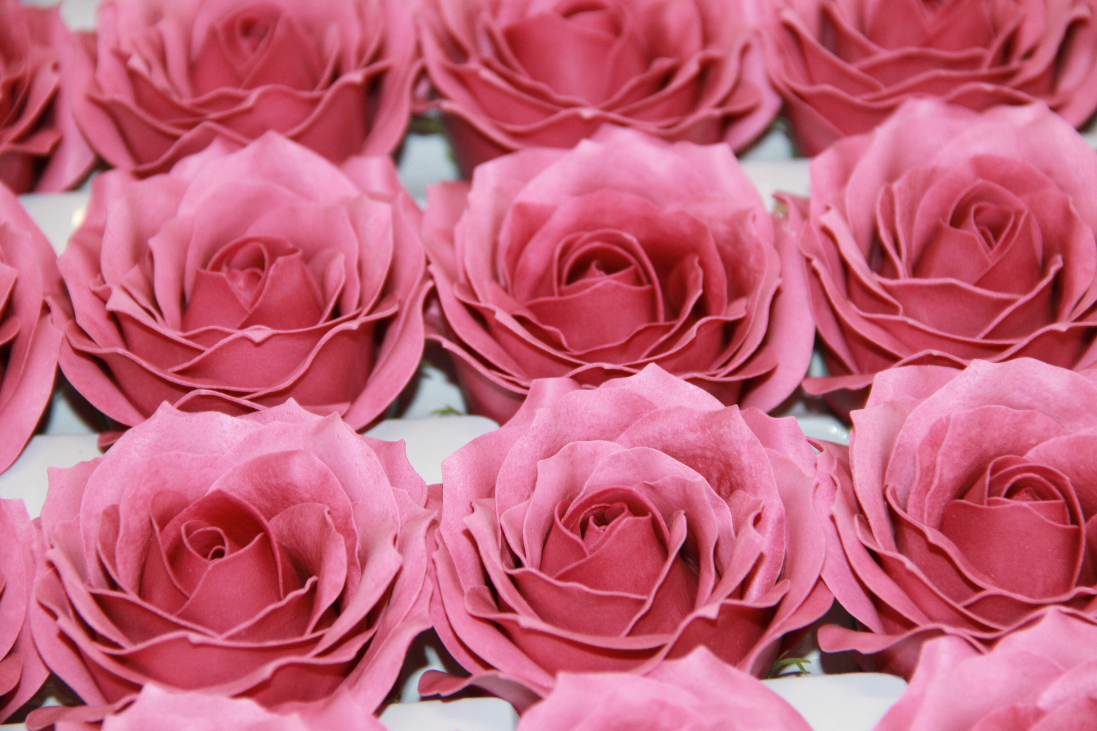 RÓŻA MYDLANA DUŻA 25 SZT. • ': AT.ROSE