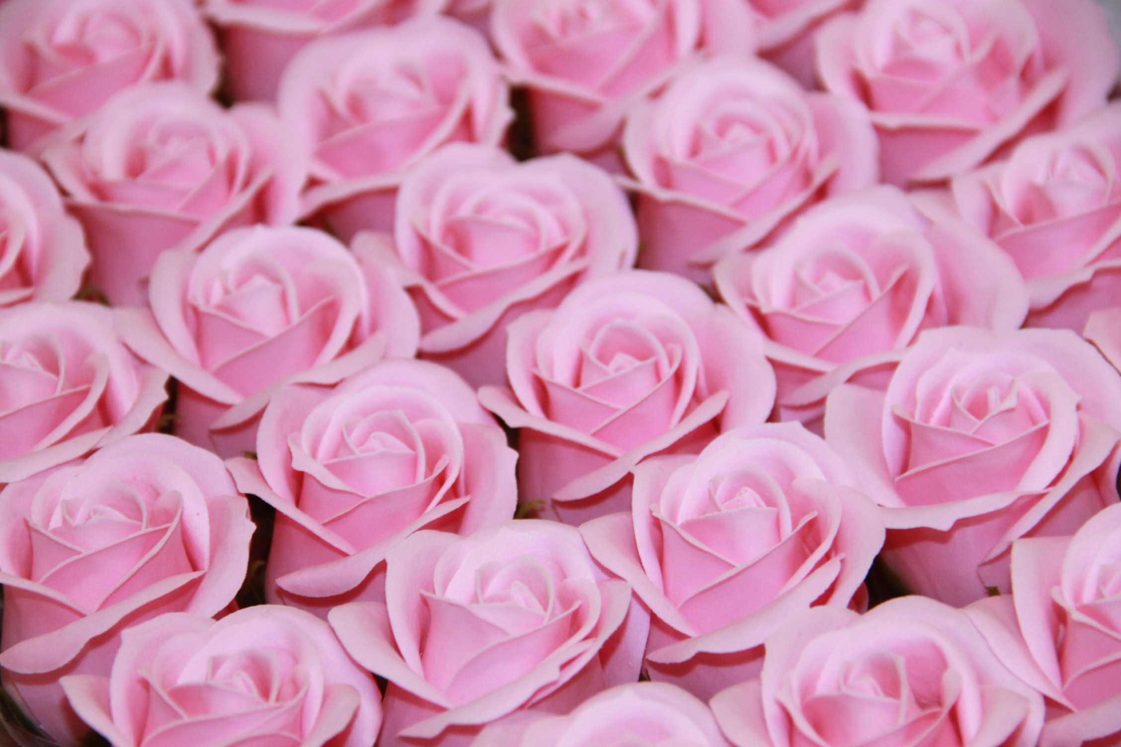 RÓŻA MYDLANA MAŁA 50 SZT. • ': PINK.