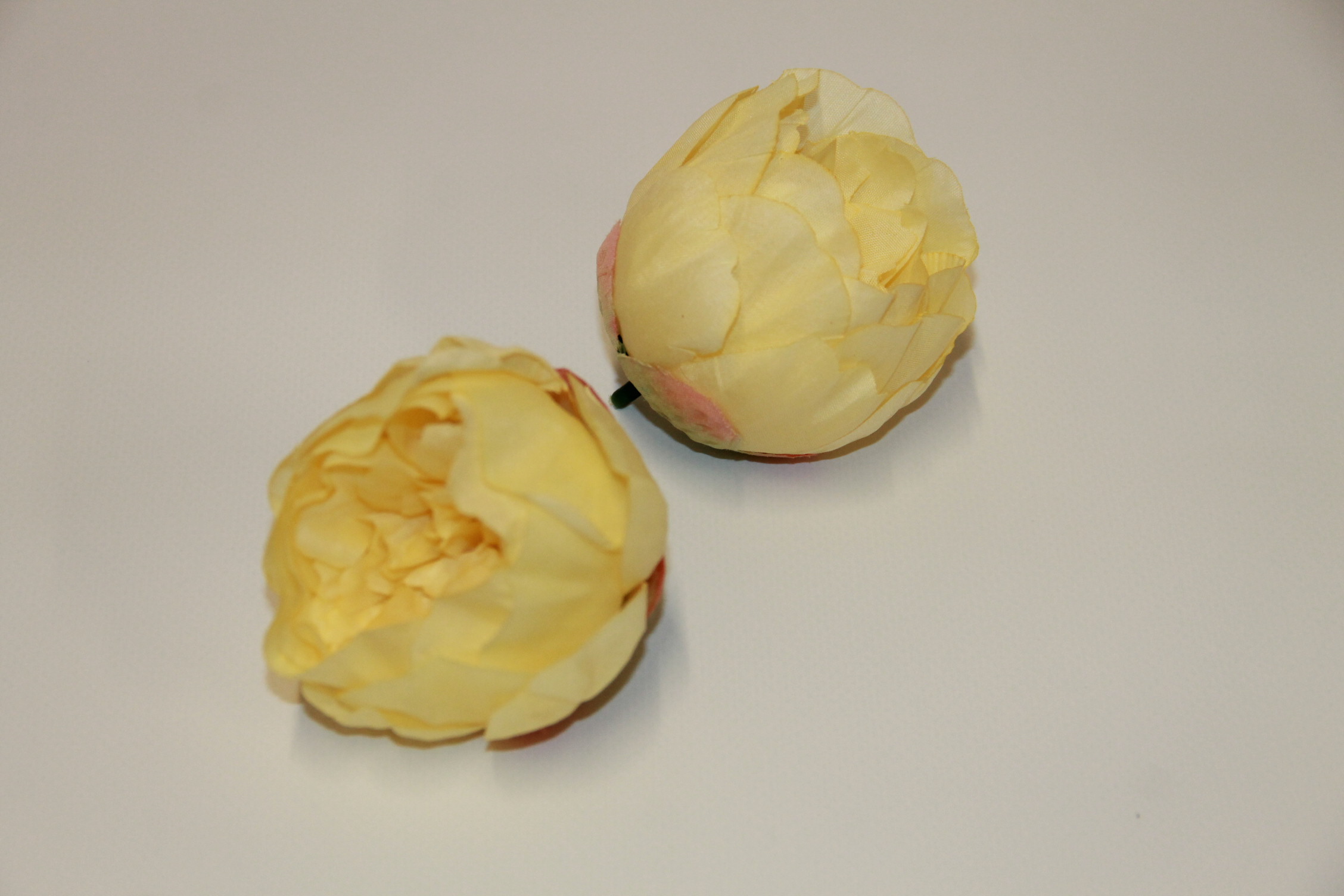 PIWONIA WYROBOWA MNIEJSZA • ': LT.YELLOW