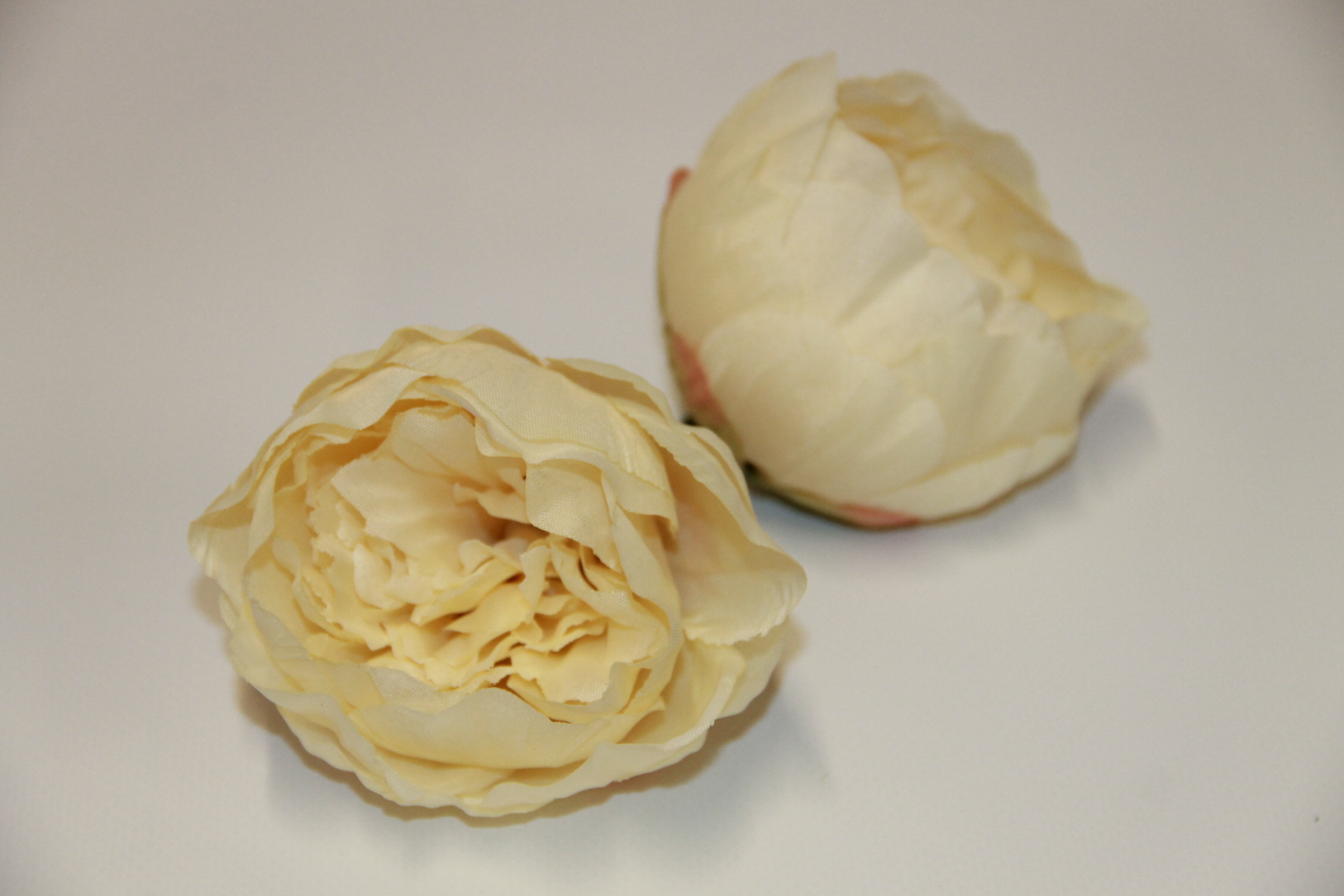 PIWONIA WYROBOWA MNIEJSZA • ': _1 CREAM