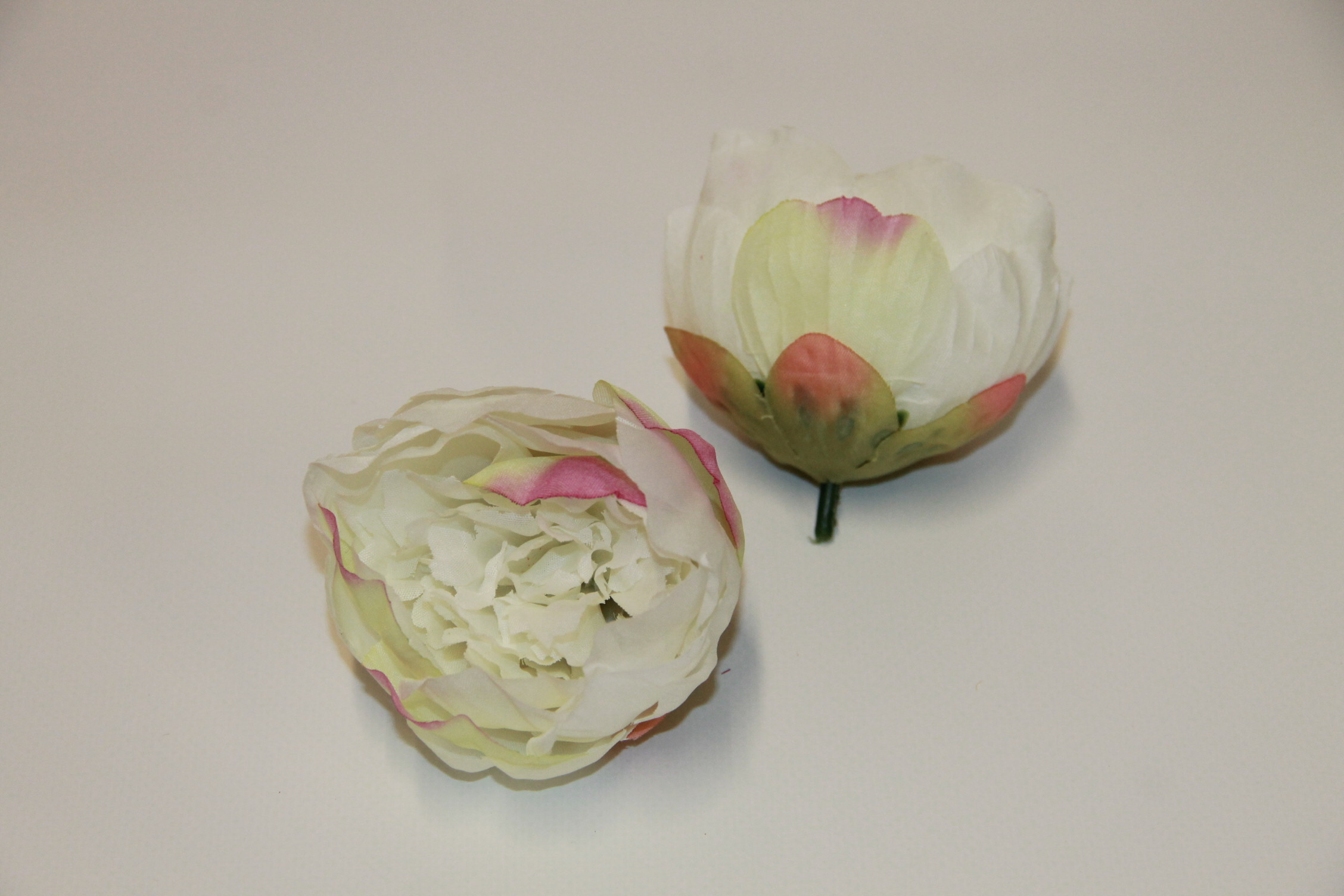 PIWONIA WYROBOWA MNIEJSZA • ': WHITE/LT.PINK