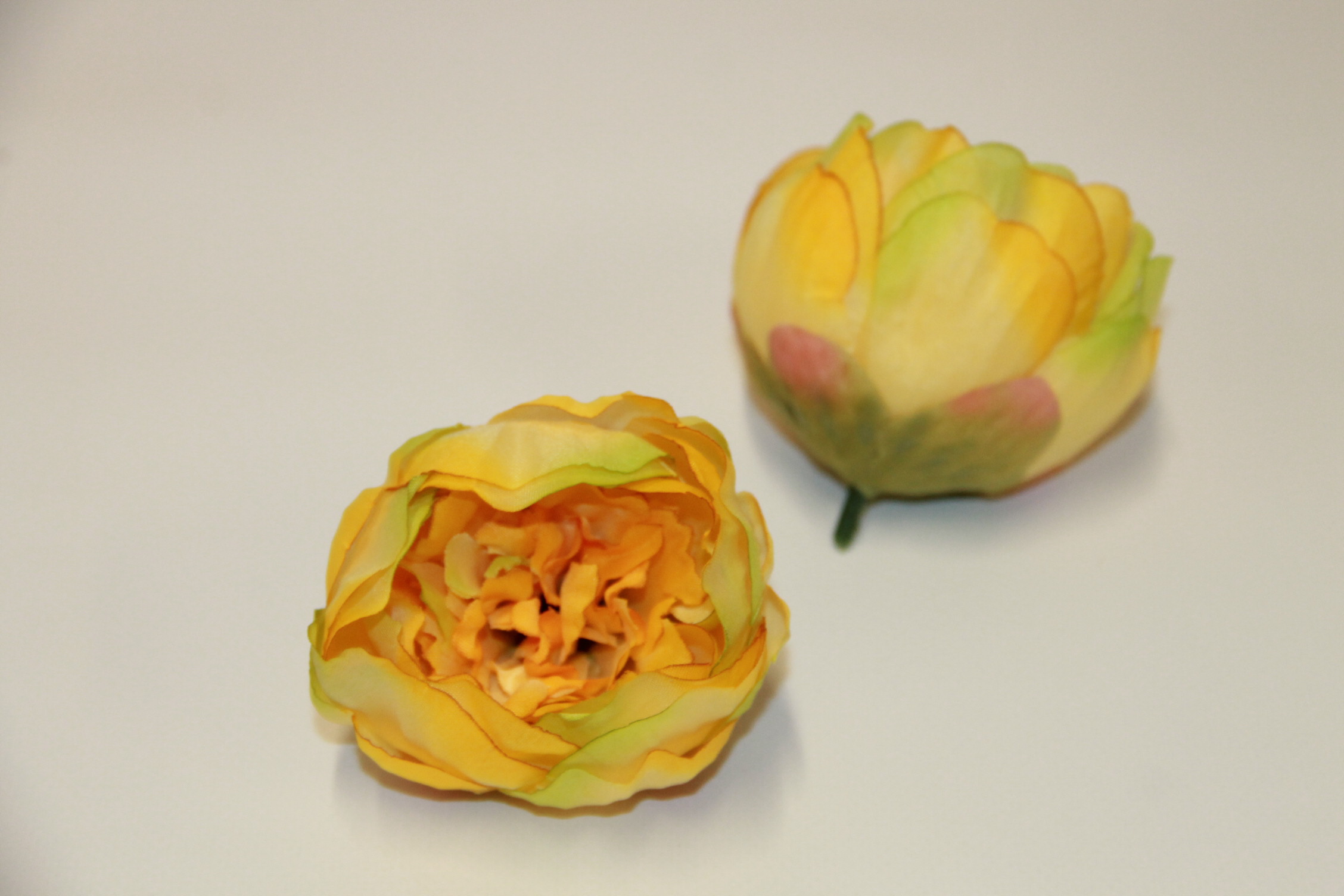 PIWONIA WYROBOWA MNIEJSZA • ': YELLOW/LT.GREEN