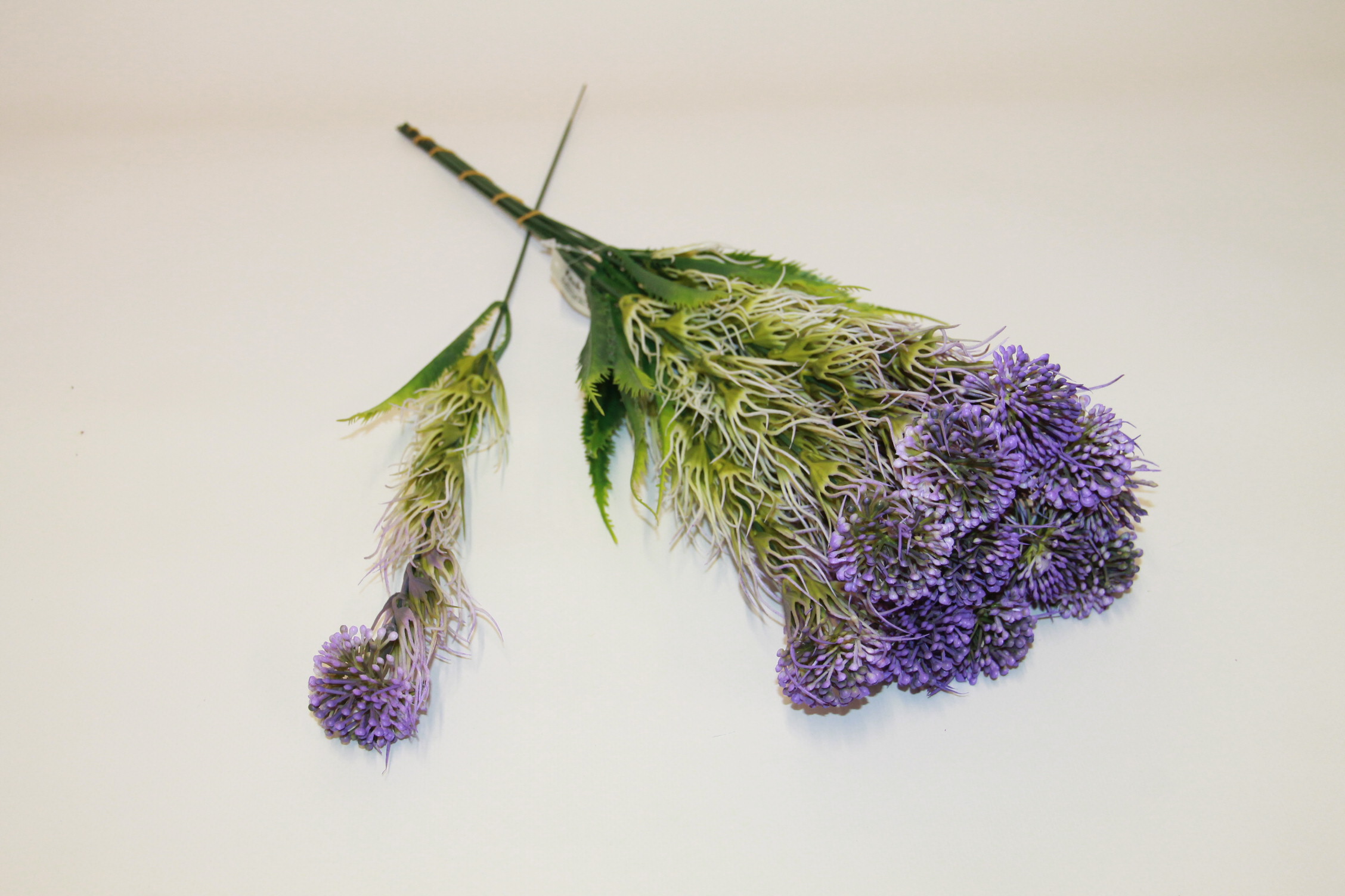 CZOSNEK OZDOBNY VIOLET PIK 