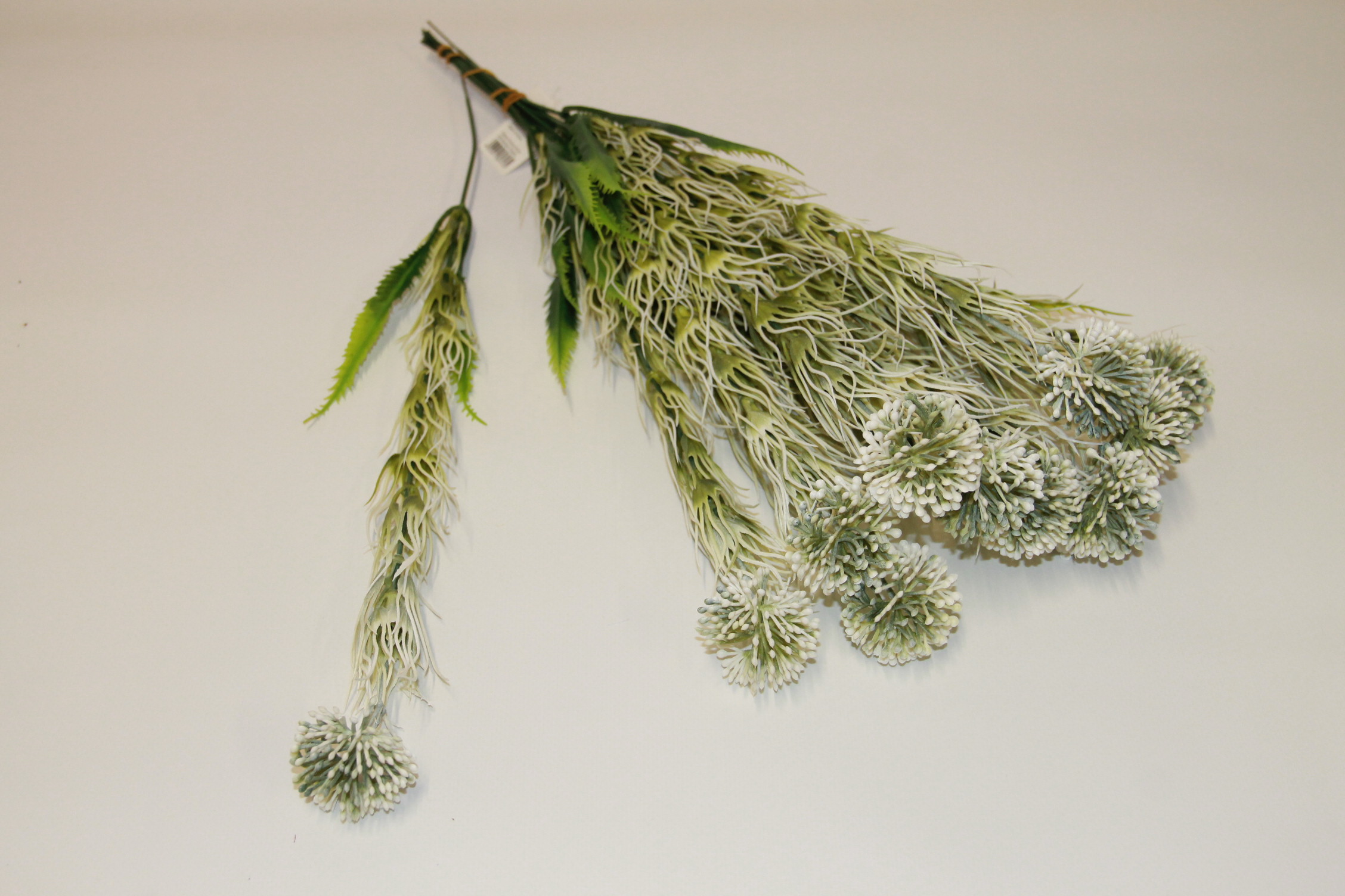 CZOSNEK OZDOBNY WHITE PIK 