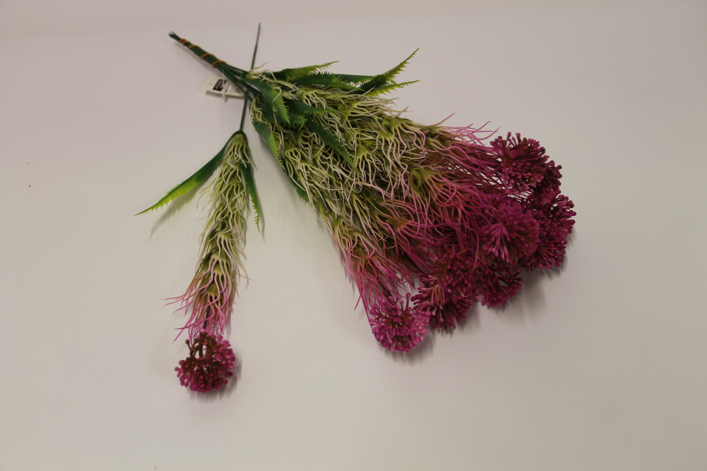 CZOSNEK OZDOBNY PINK PIK 