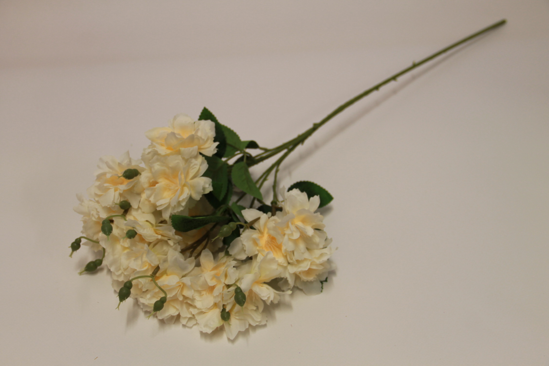 AZALIA GAŁĄZKA X3 CREAM