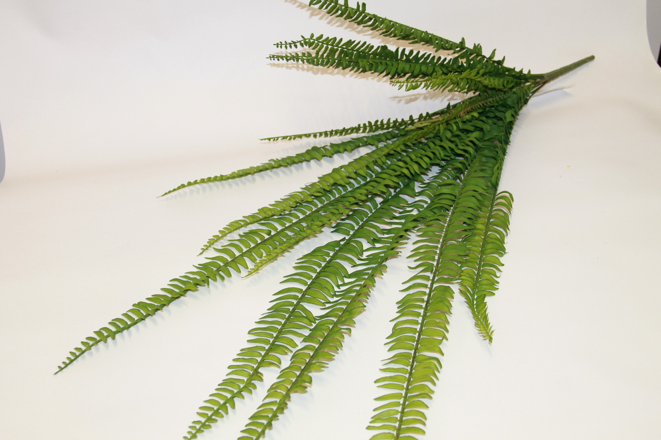 PAPROĆ BUKIET X 15 92 CM