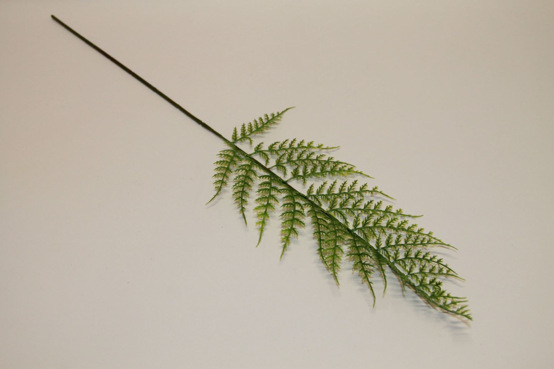 LIŚĆ PAPROCI GREEN