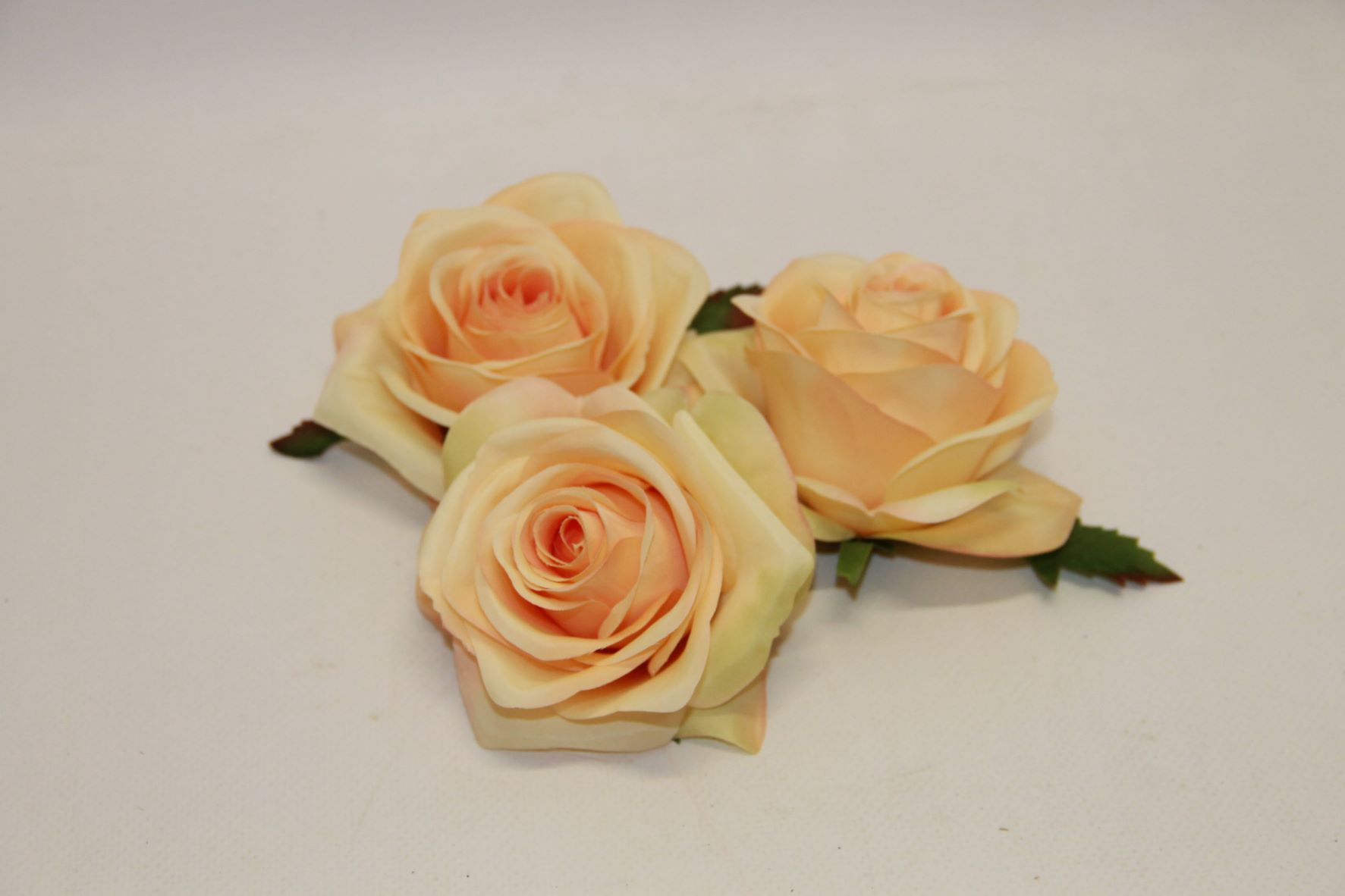 RÓŻA WYR. 385 • ,;: #3065 REAL PEACH