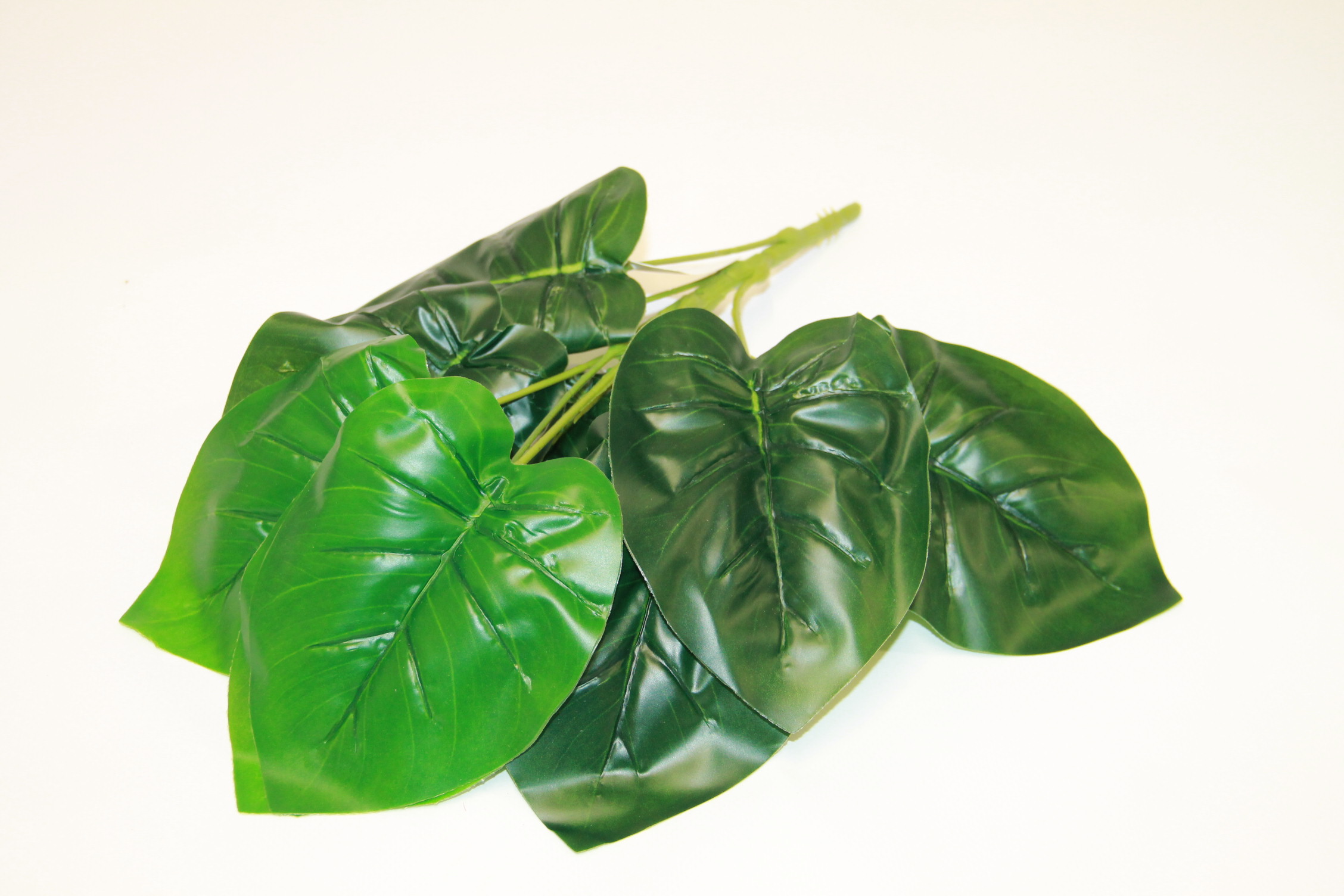 FILODENDRON BUKIET X 9 34 cm 