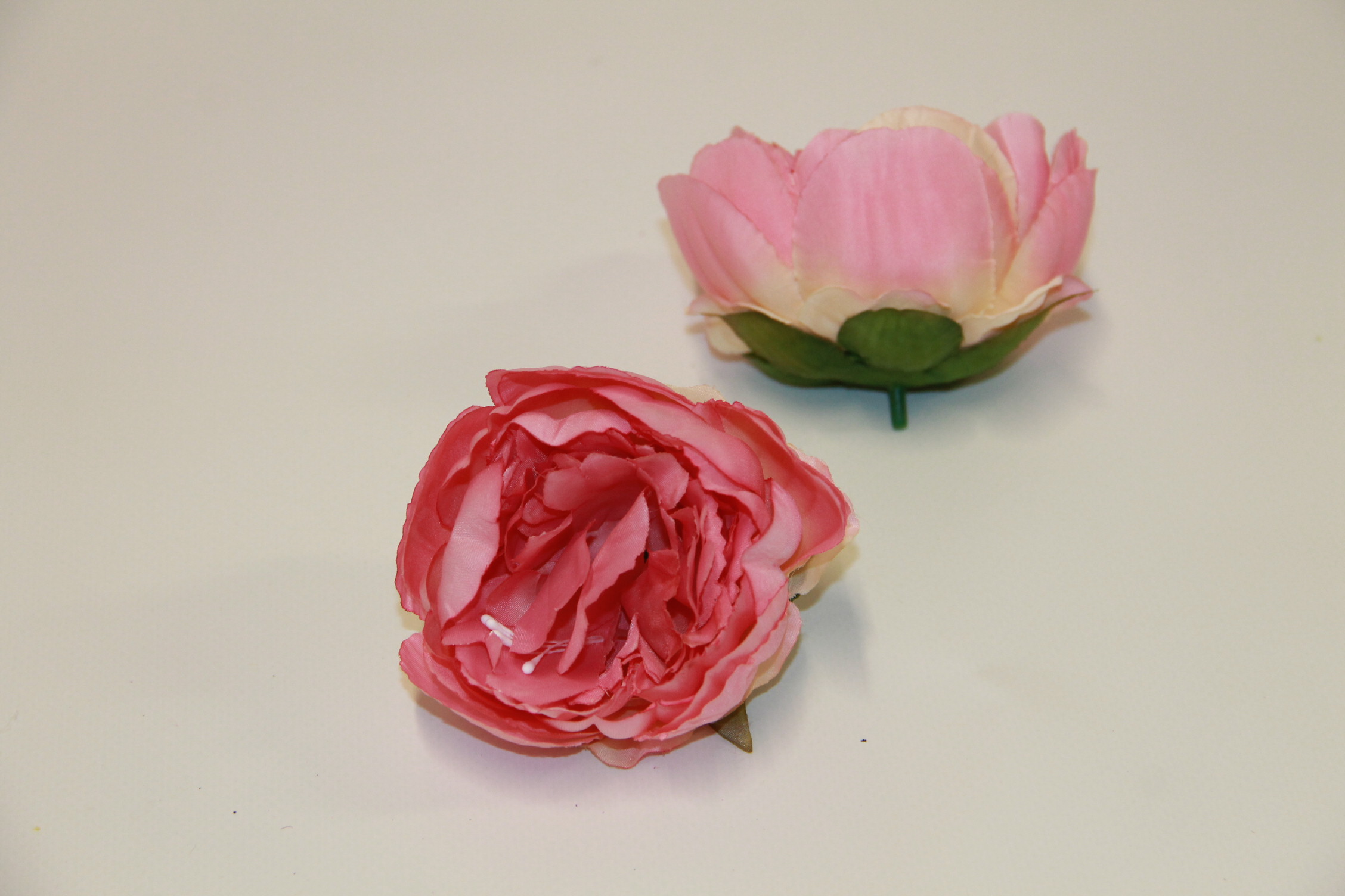 PIWONIA WYROBOWA • ': #1 PINK