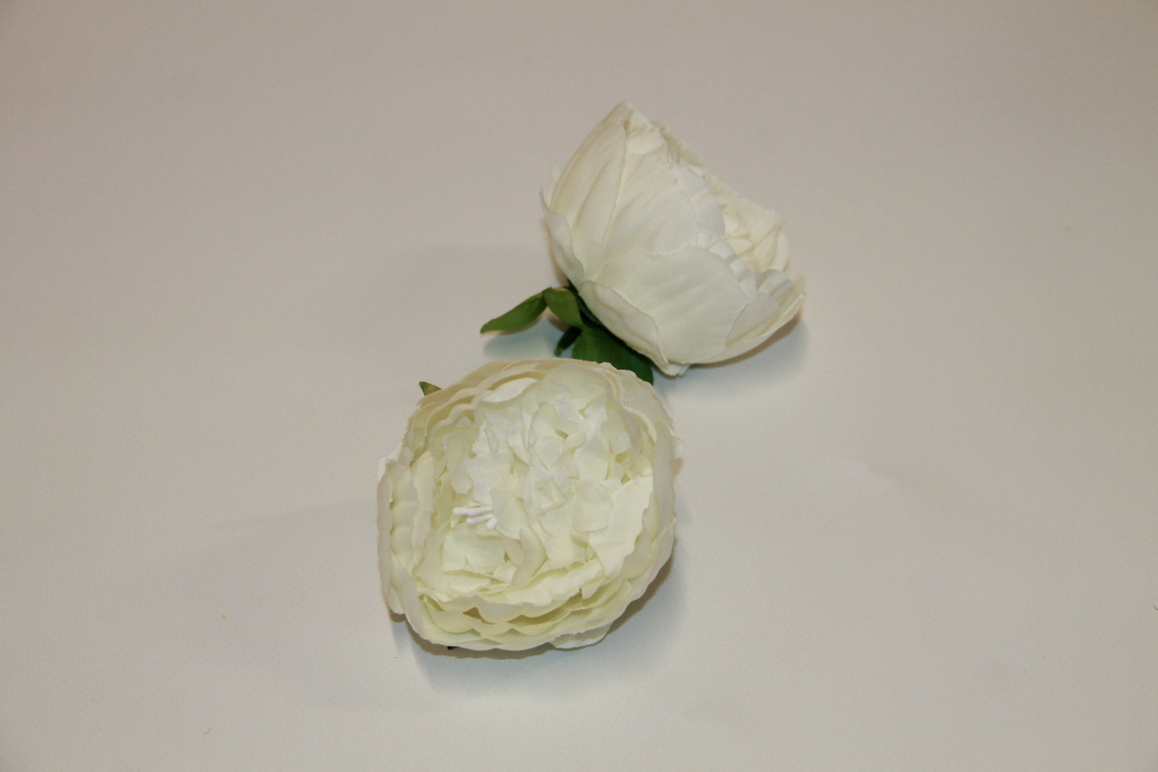 PIWONIA WYROBOWA • ': WHITE.