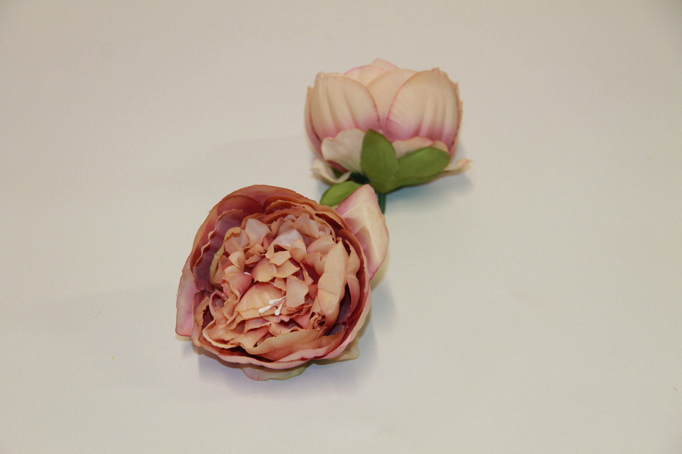 PIWONIA WYROBOWA • ': MAUVE