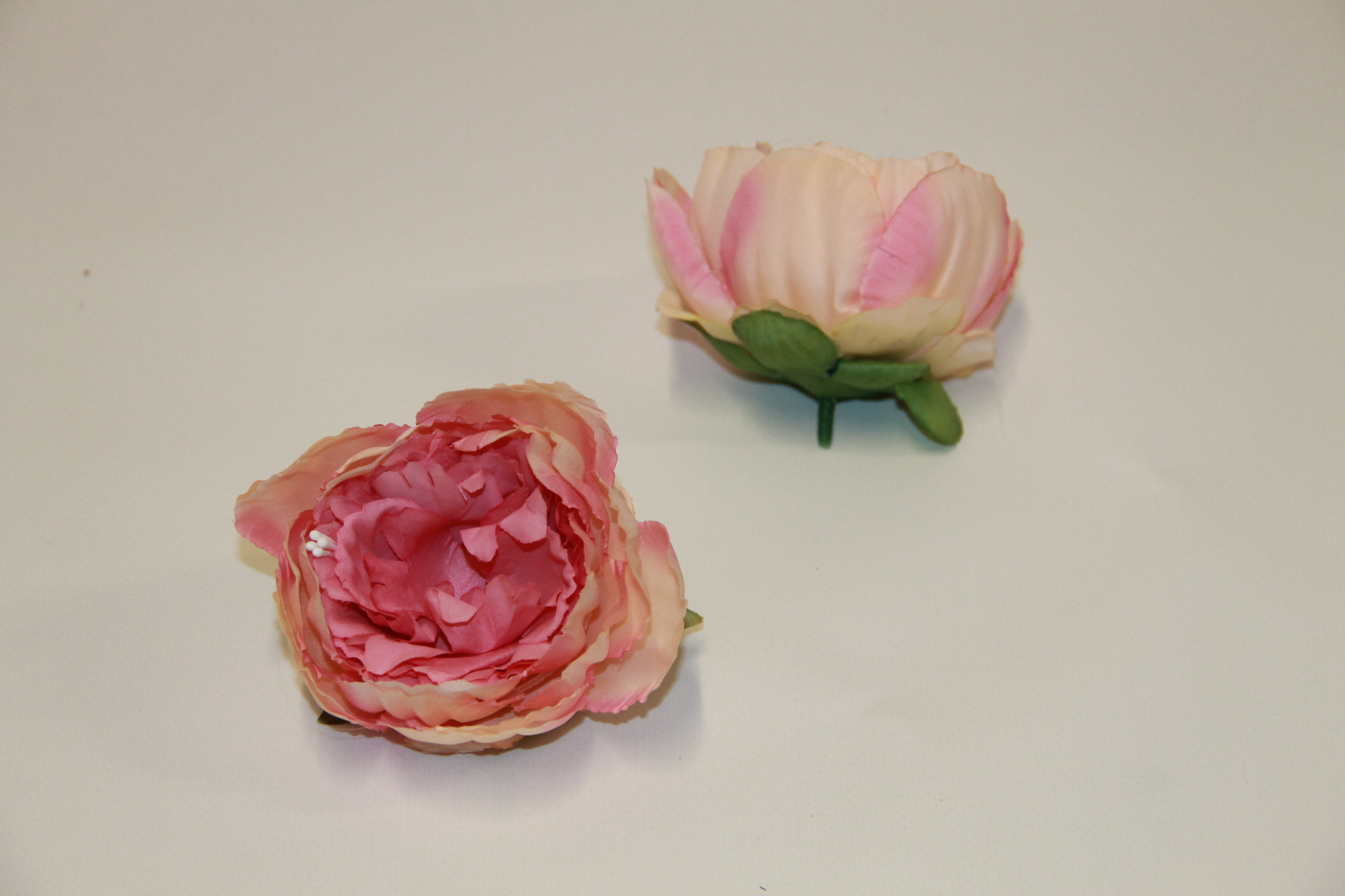 PIWONIA WYROBOWA • ': DIRTY PINK.