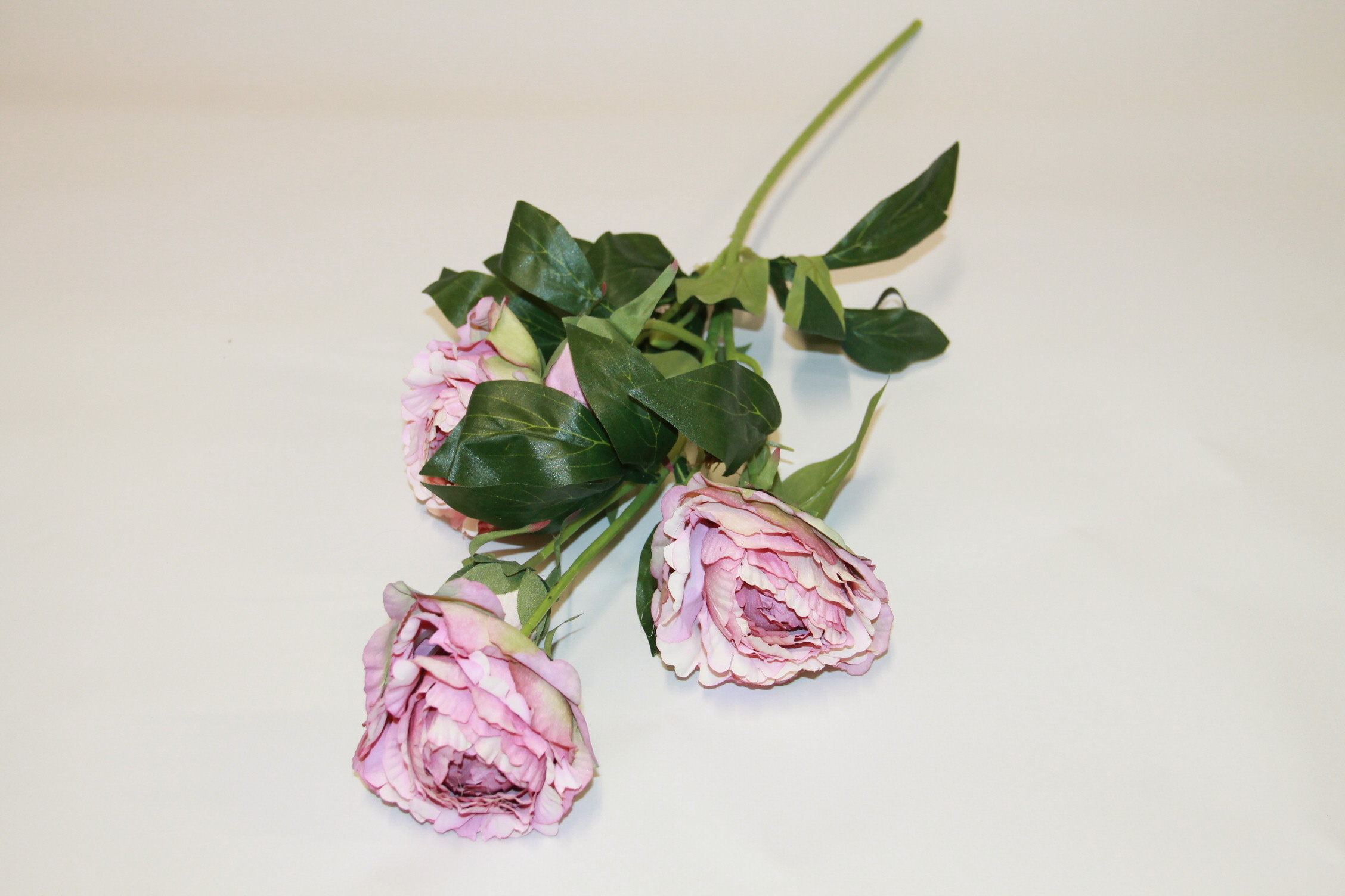 PEONIA GAŁĄzKA 3 KWIATY+2 PĄKI • ,;: #2 DIRTY PINK