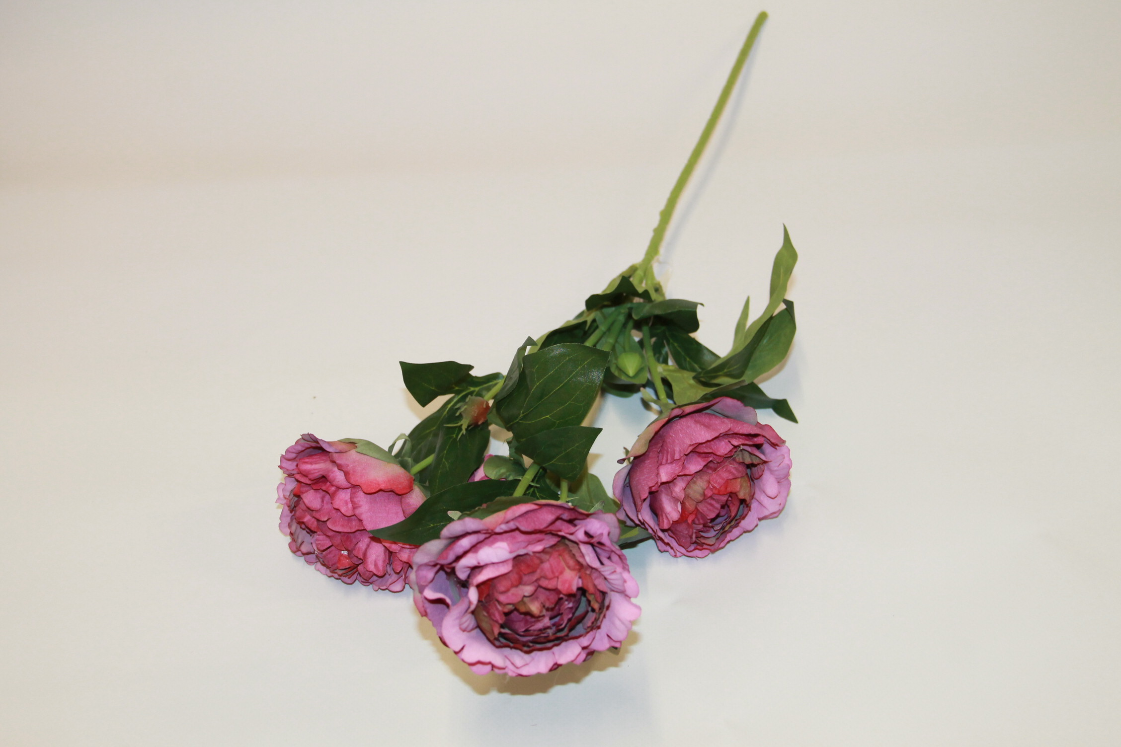 PEONIA GAŁĄzKA 3 KWIATY+2 PĄKI • ,;: #109 FUCHSIA DR BEAUTY