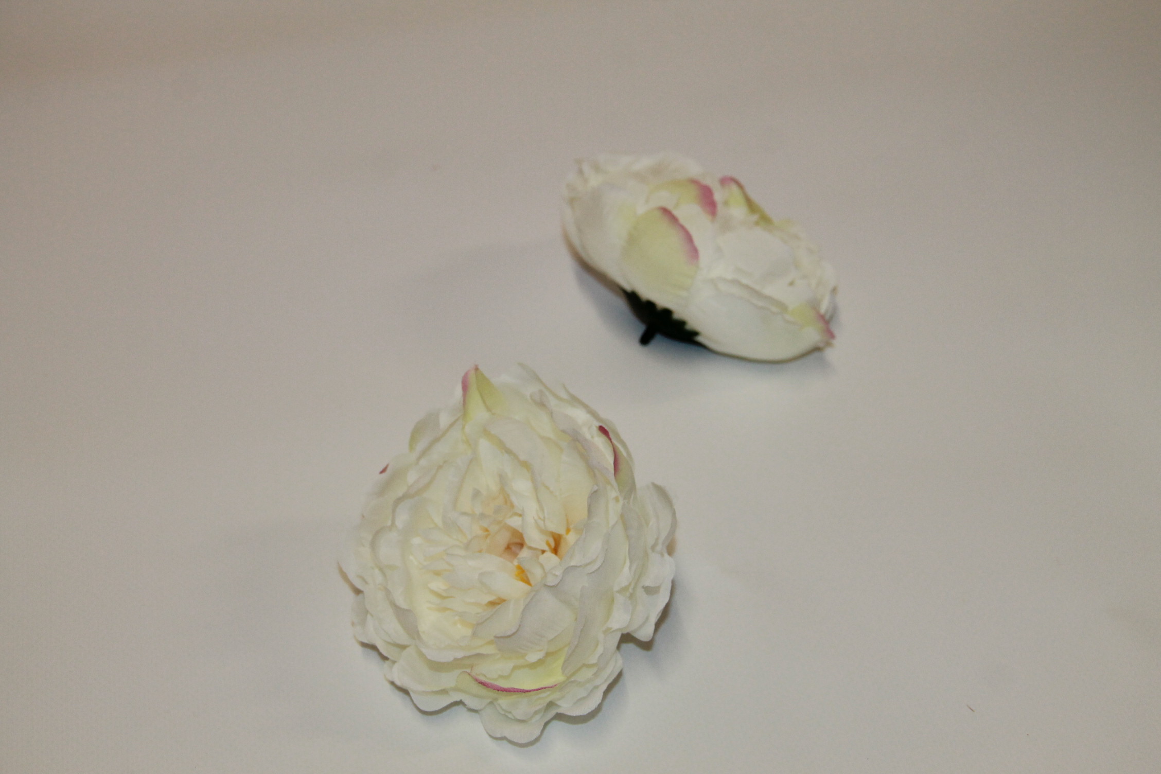 PIWONIA WYROBOWA WIEKSZA • ,;: WHITE/ LT.PINK