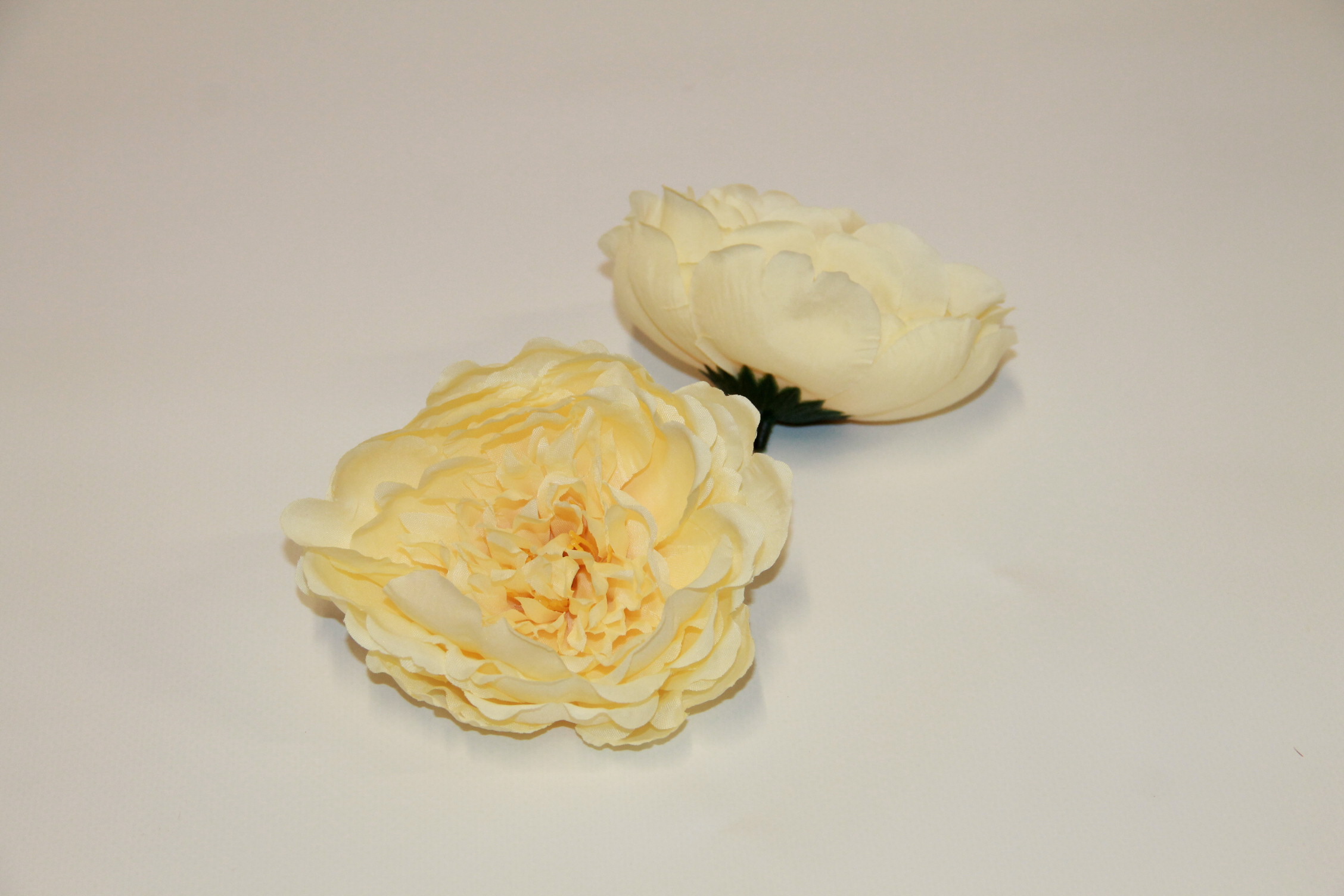 PIWONIA WYROBOWA WIEKSZA • ,;: CREAM