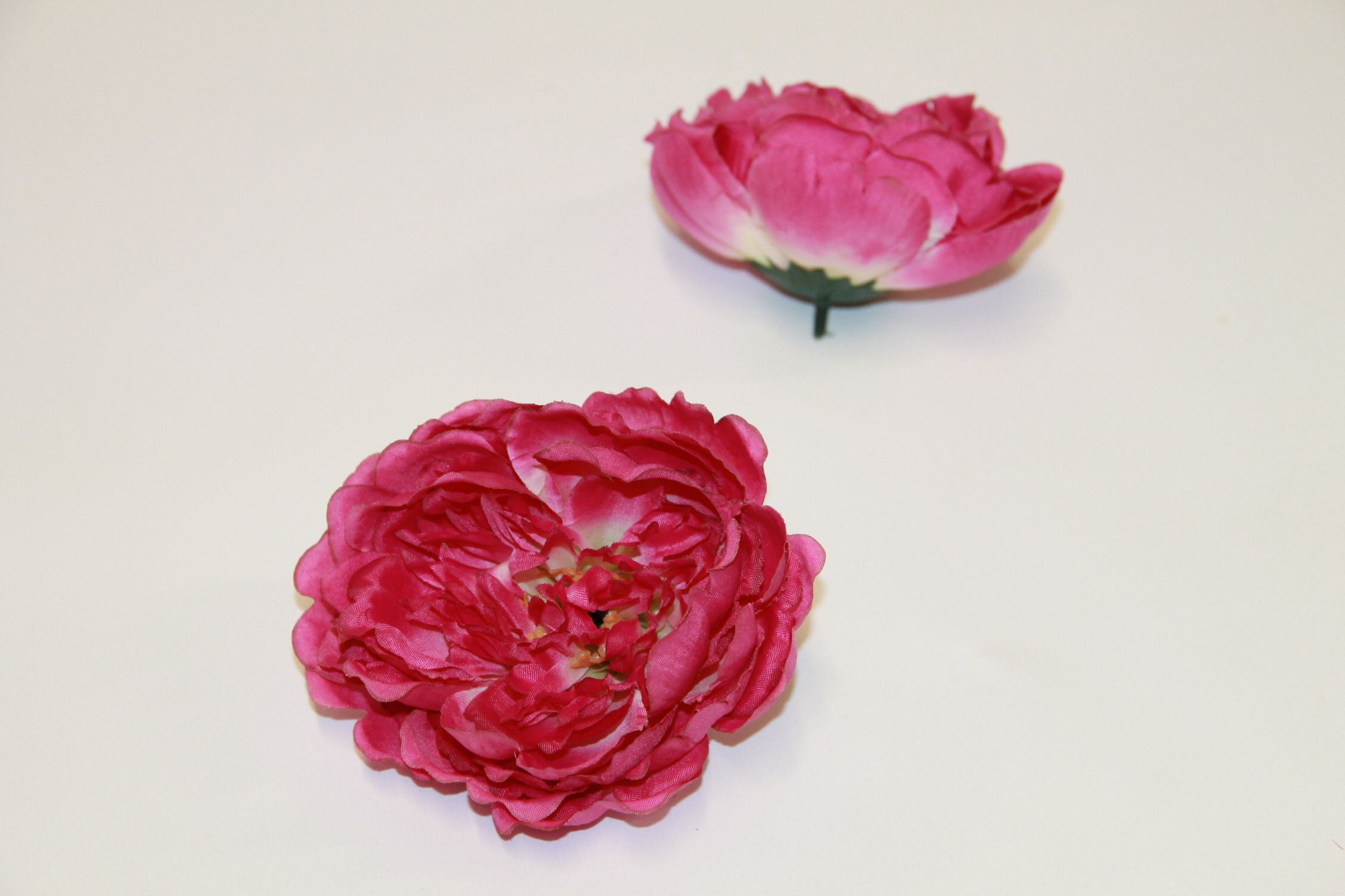 PIWONIA WYROBOWA WIEKSZA • ,;: FUCHSJA