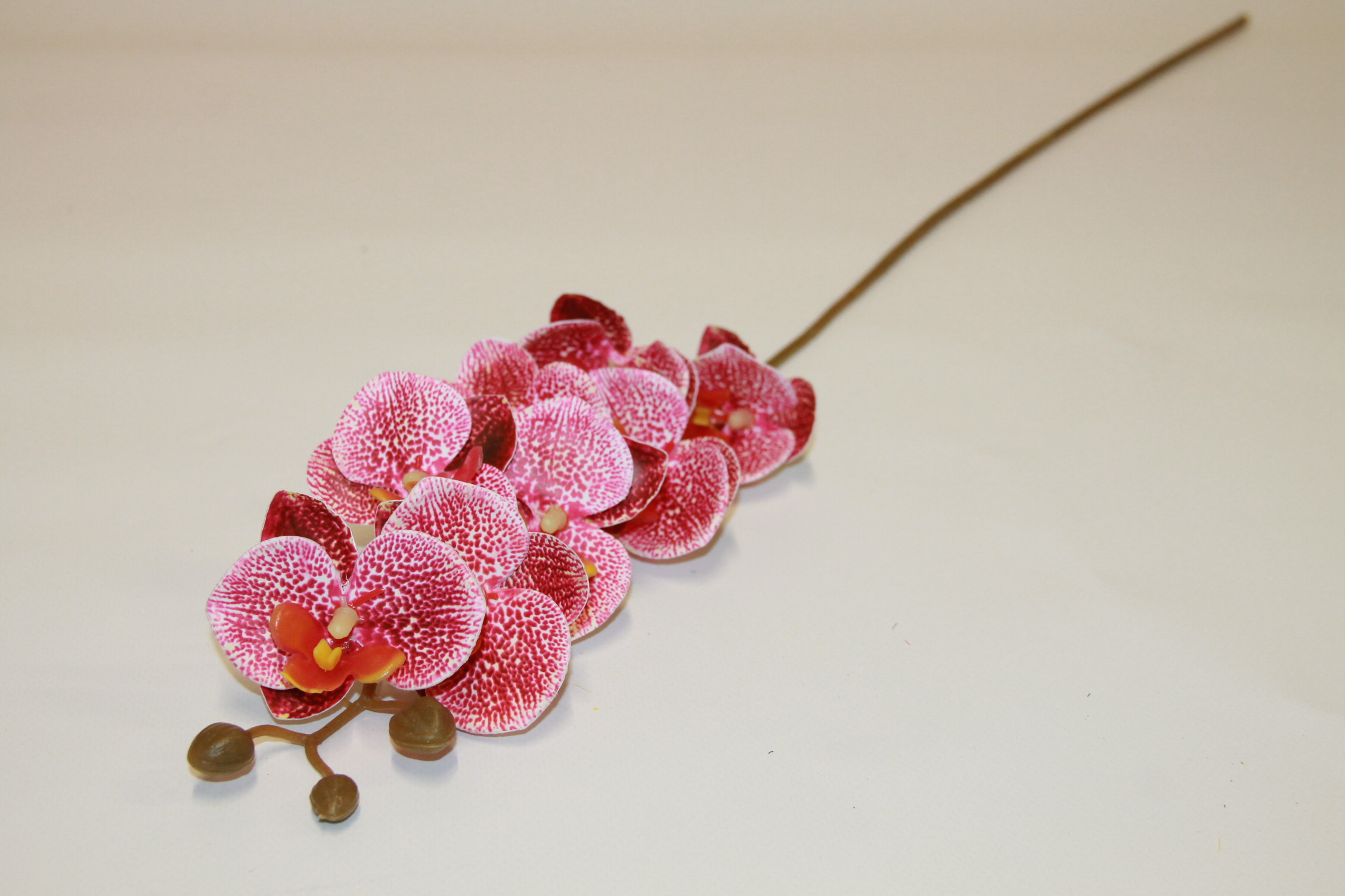 STORCZYK DROBNY RÓŻOWY 