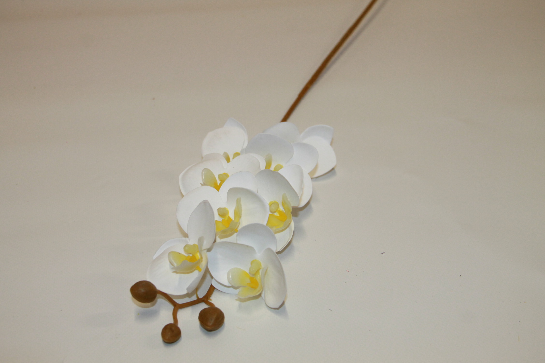 STORCZYK DROBNY BIAŁY