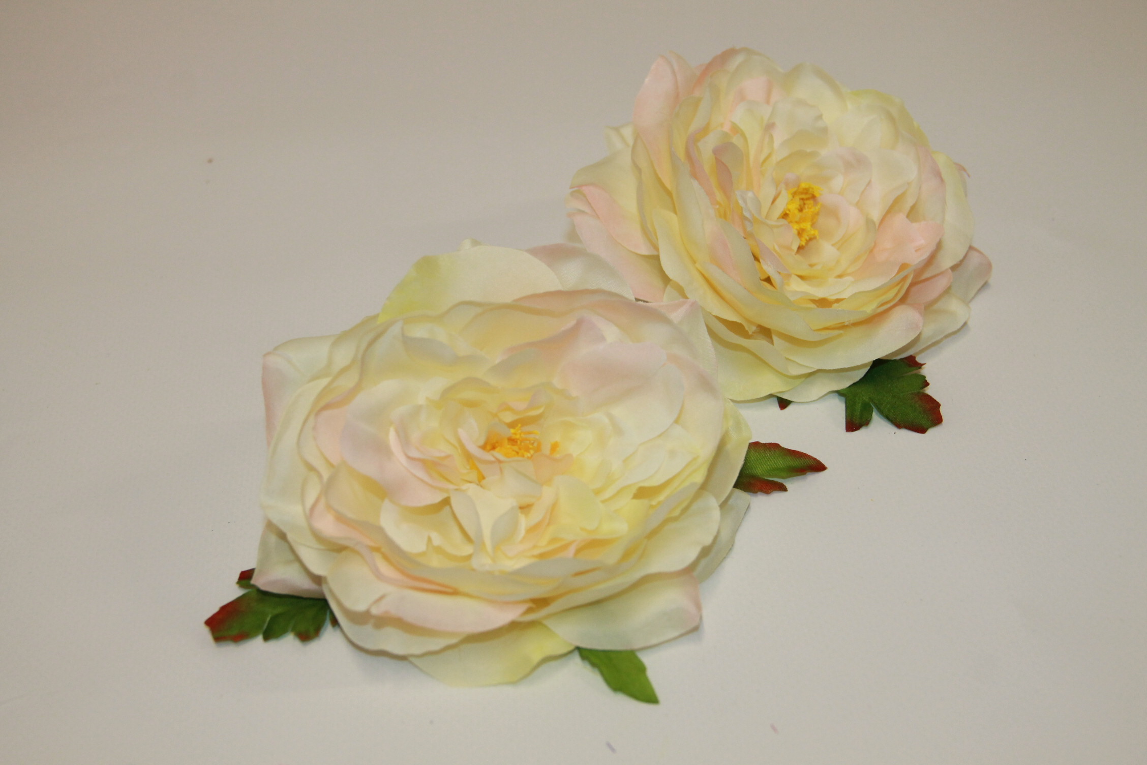 PIWONIA WYROBOWA ROZWINIĘTA • ,;: CREAM LT PINK