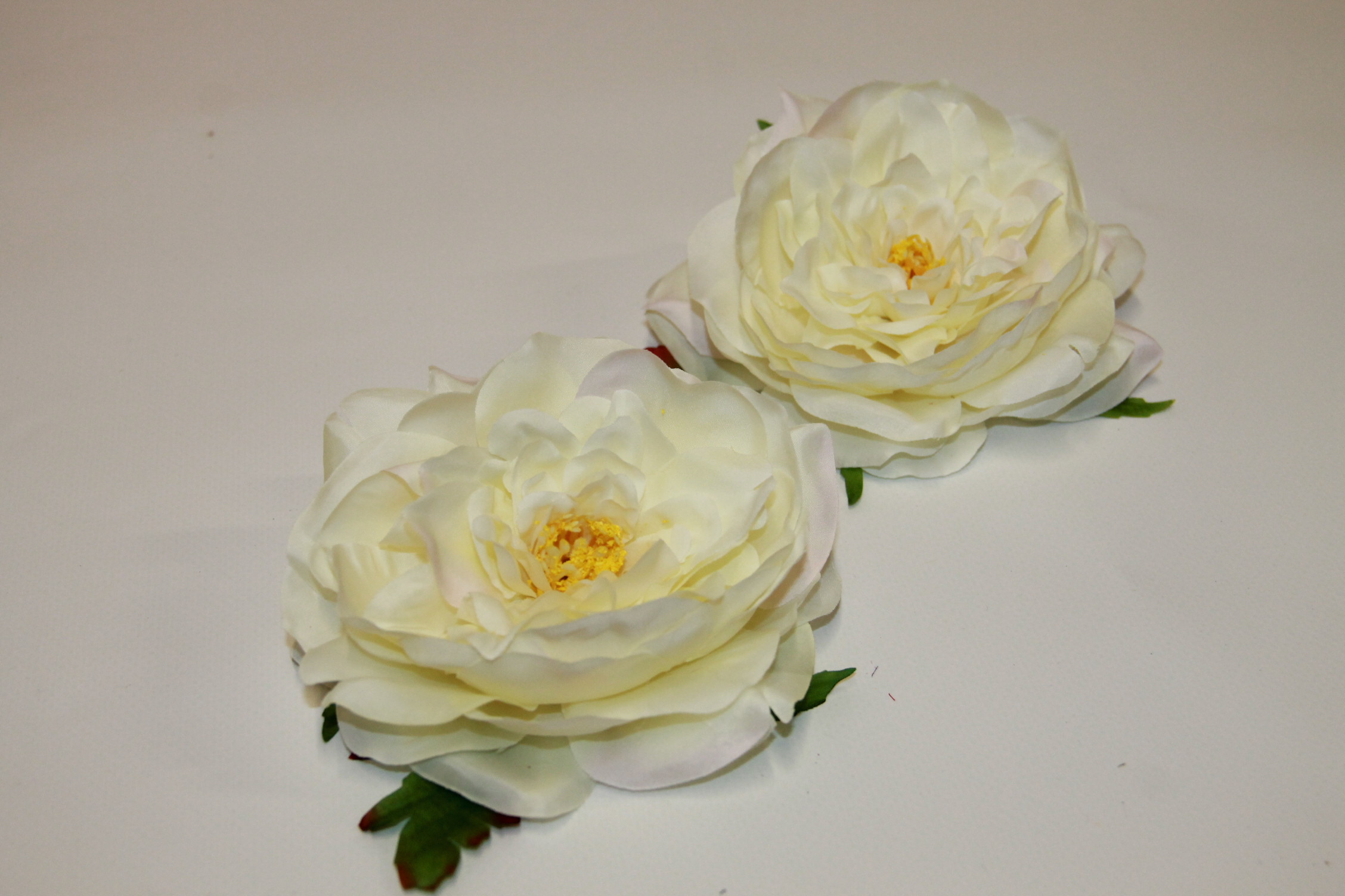 PIWONIA WYROBOWA ROZWINIĘTA • ,;: CREAM