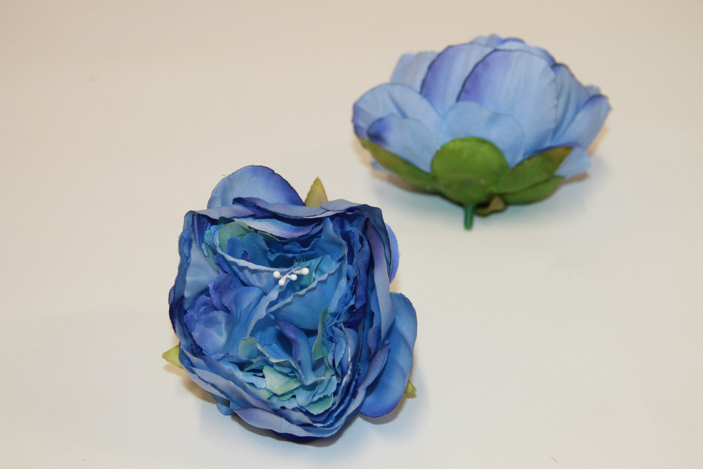 PIWONIA WYROBOWA • ': BLUE.