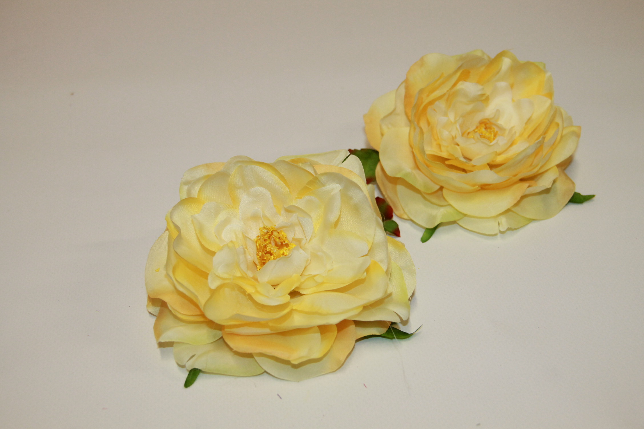 PIWONIA WYROBOWA ROZWINIĘTA • ,;: YELLOW