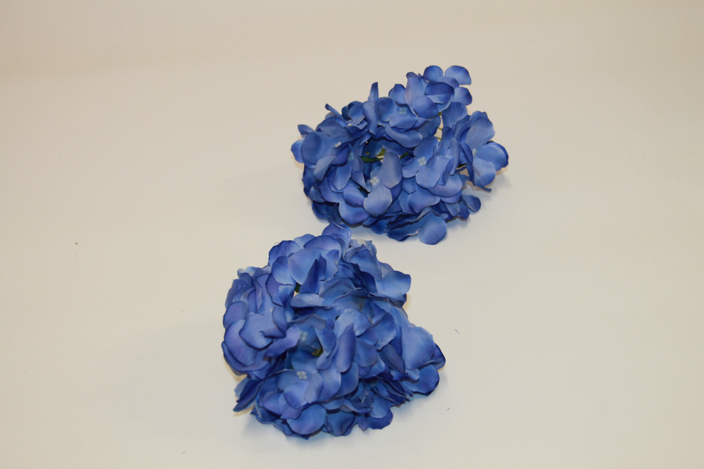 HORTENSJA WYR. NIEBIESKA