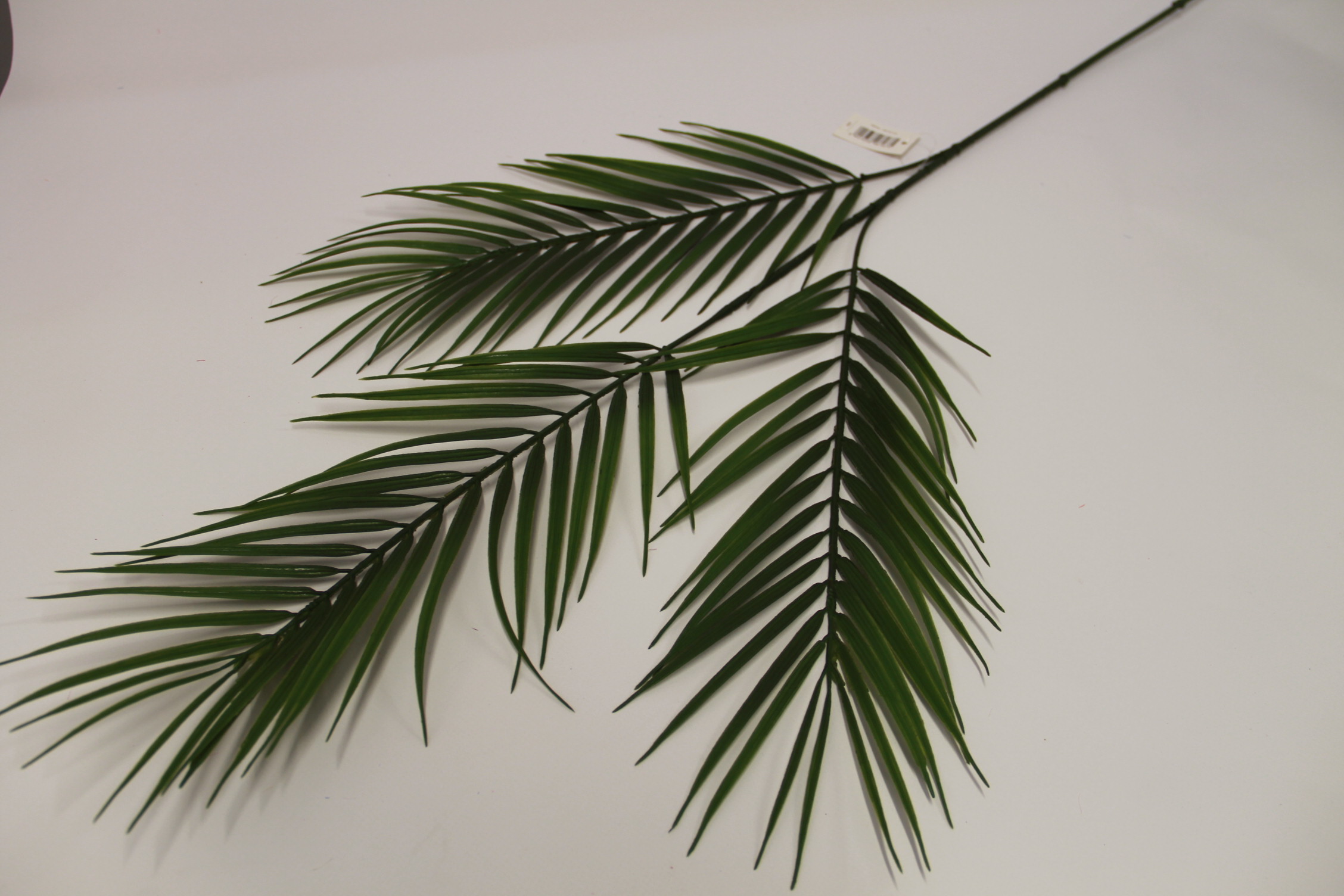 PALMA LIŚĆ X3 97 cm 