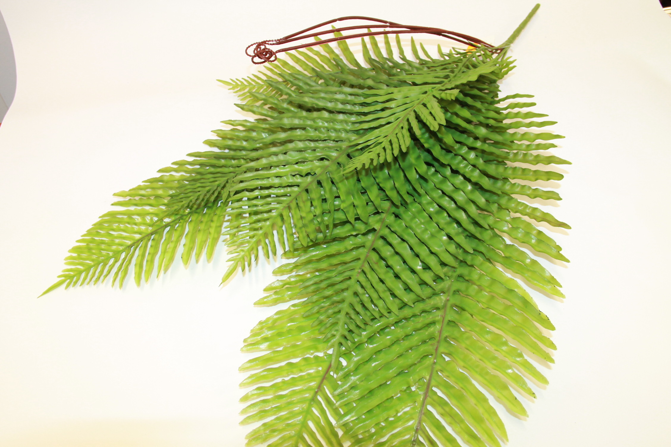 PAPROĆ BUKIET X 8 XXL