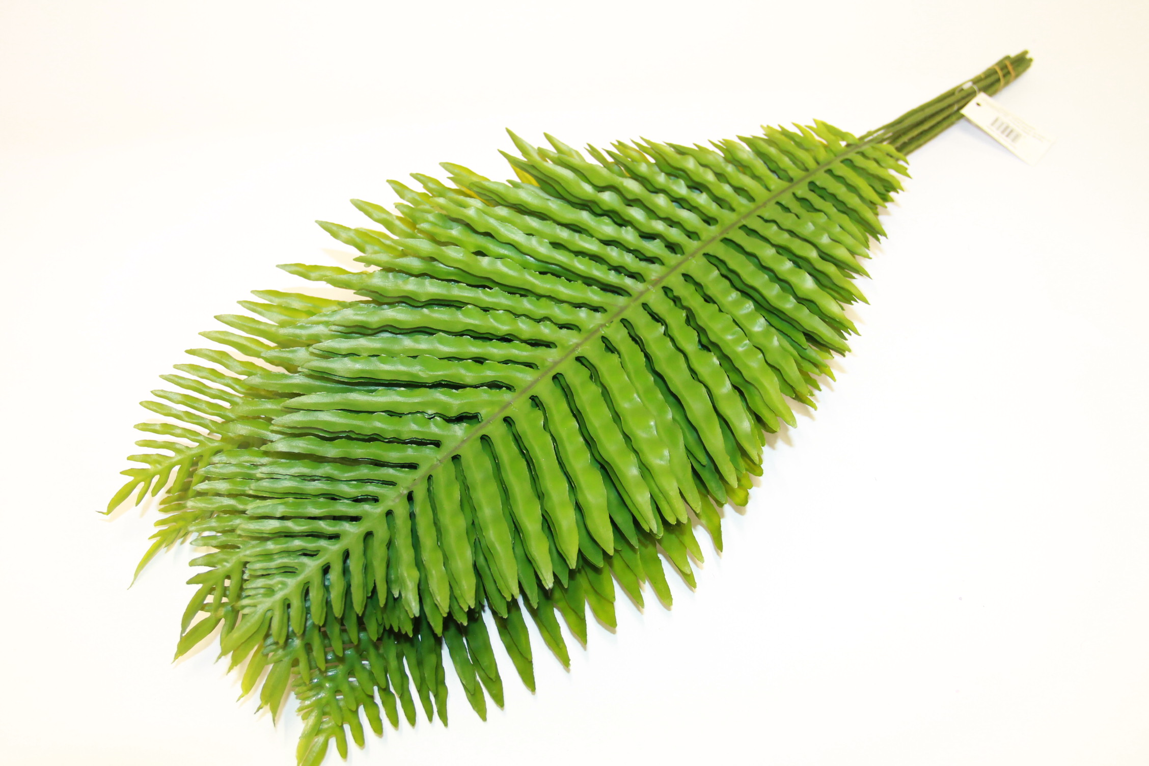 LIŚĆ PAPROCI ZIELONY