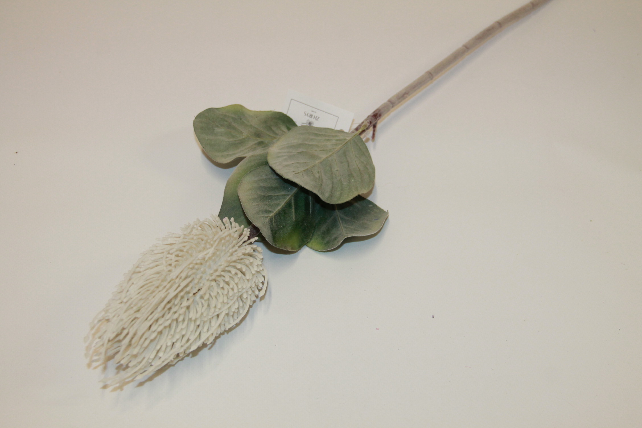 PROTEA GAŁĄZKA • ,;: WHITE #2