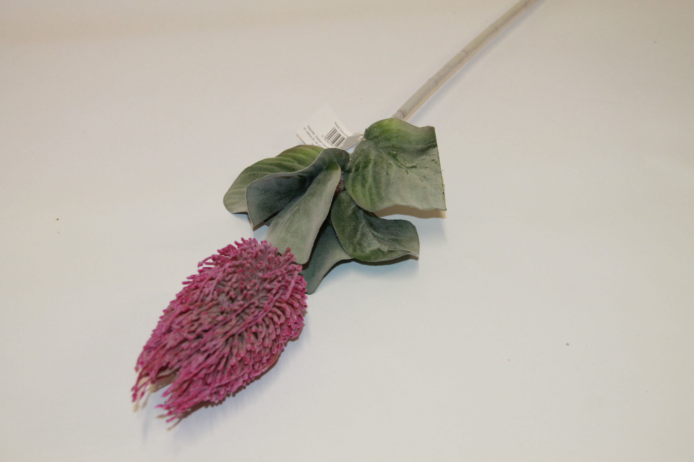 PROTEA GAŁĄZKA • ,;: LIGHT PINK #5