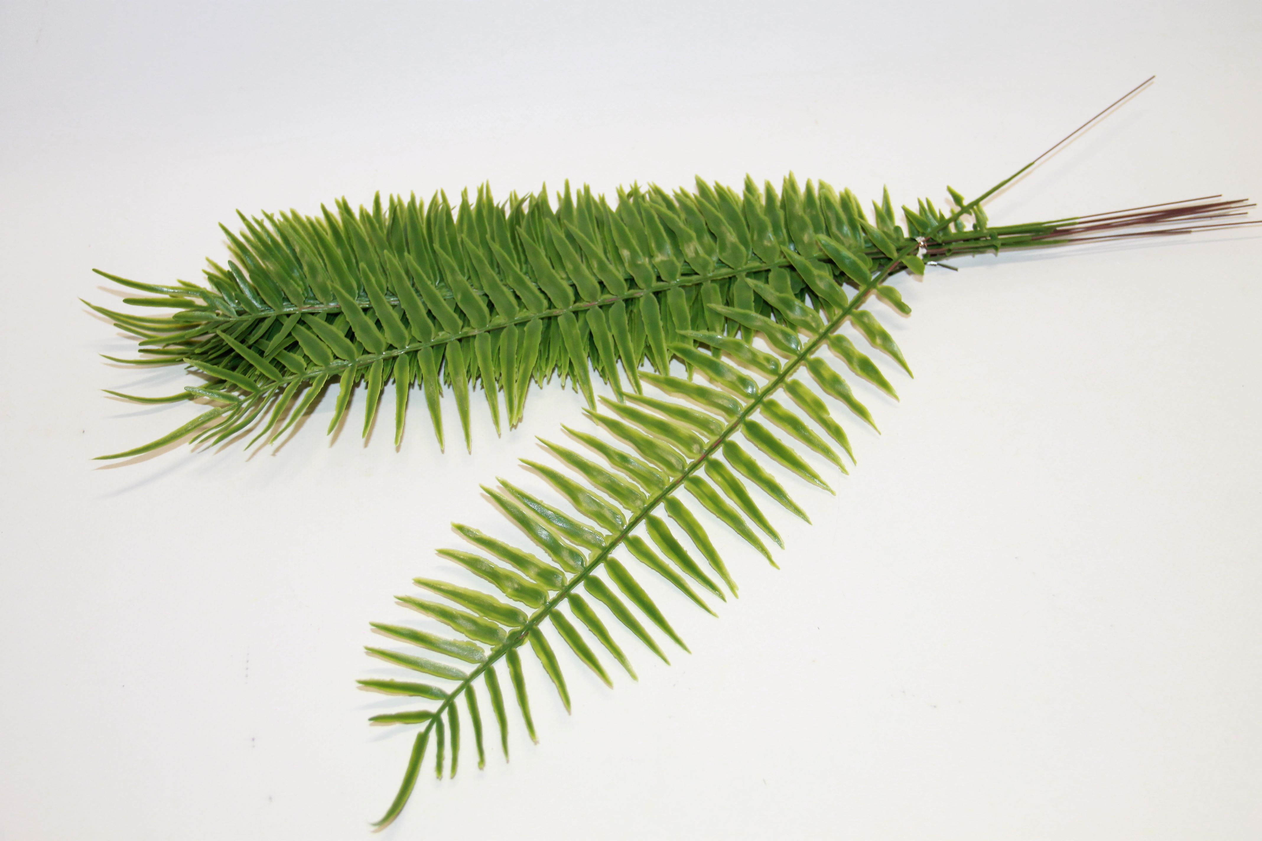 PAPROĆ LIŚĆ 45 CM 