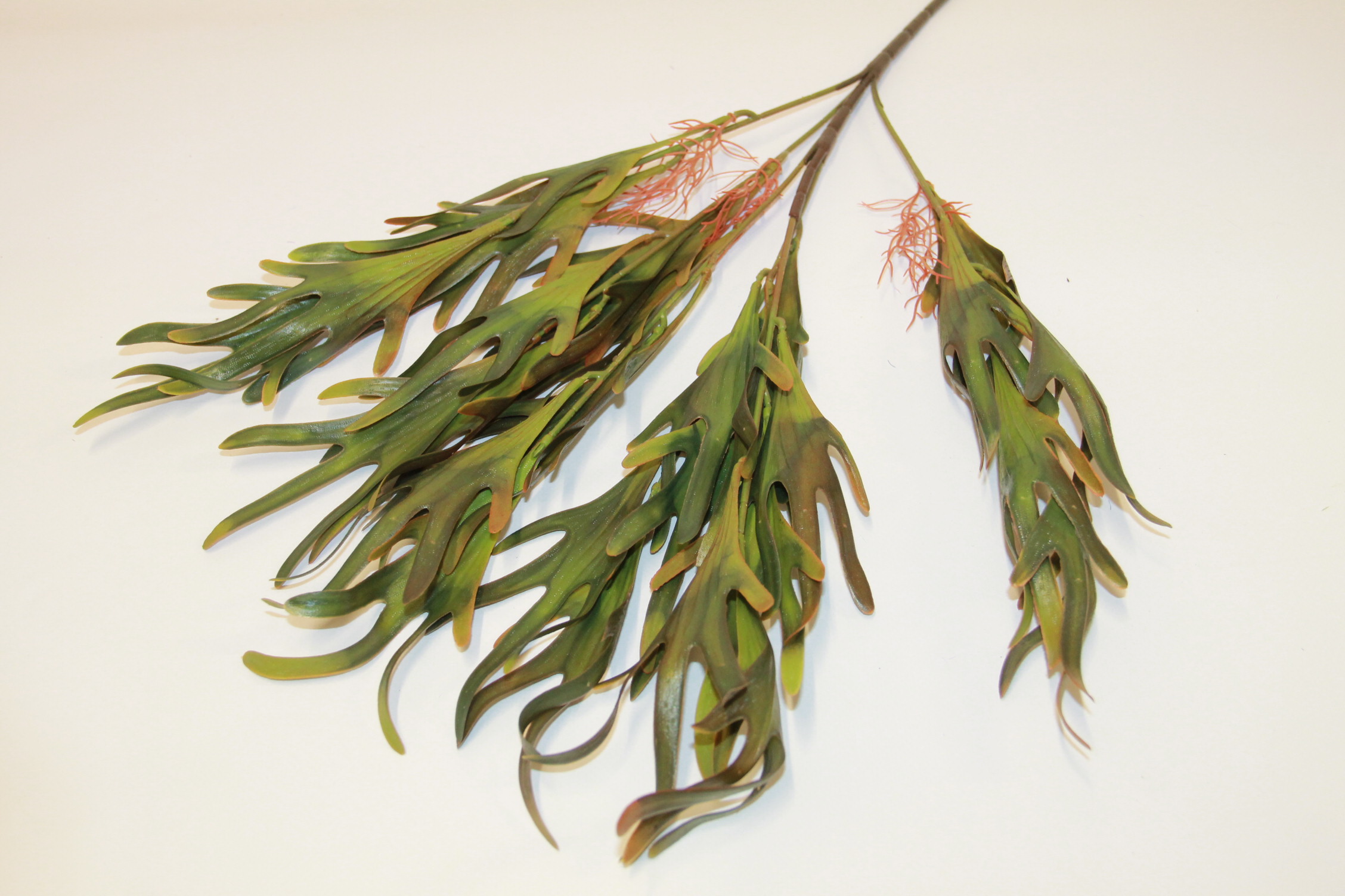 DODATEK ŁOSIE ROGI BUKIET