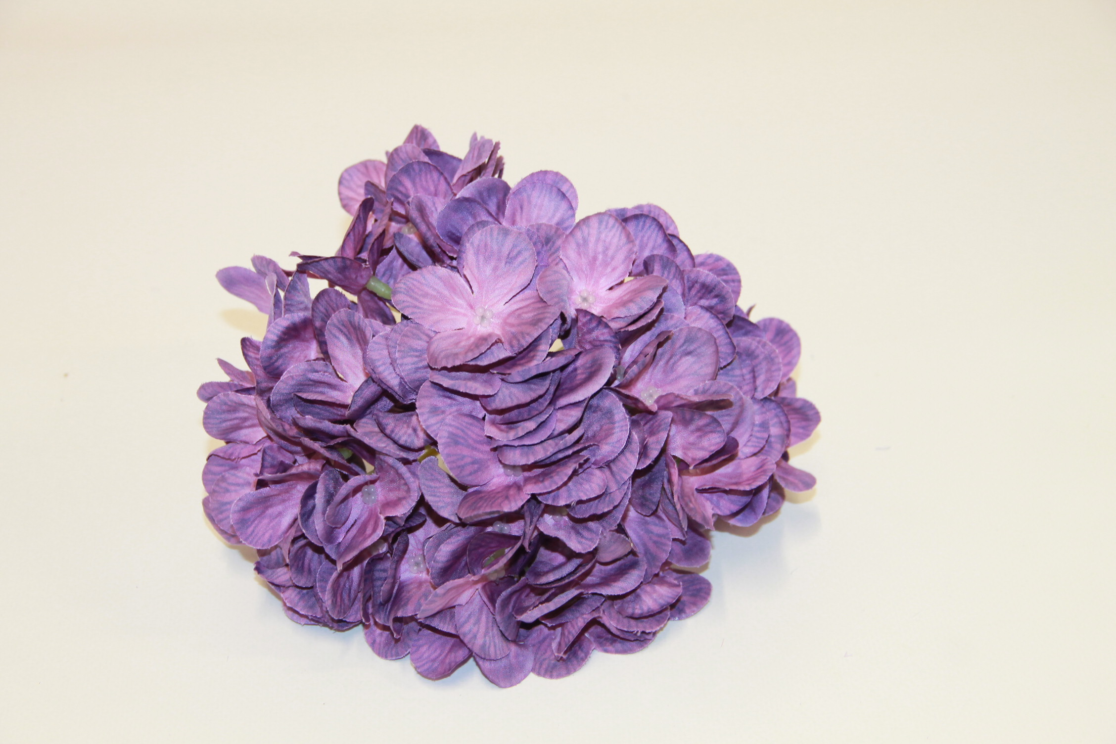 HORTENSJA WYROBOWA DUŻA • ": PLUM 16