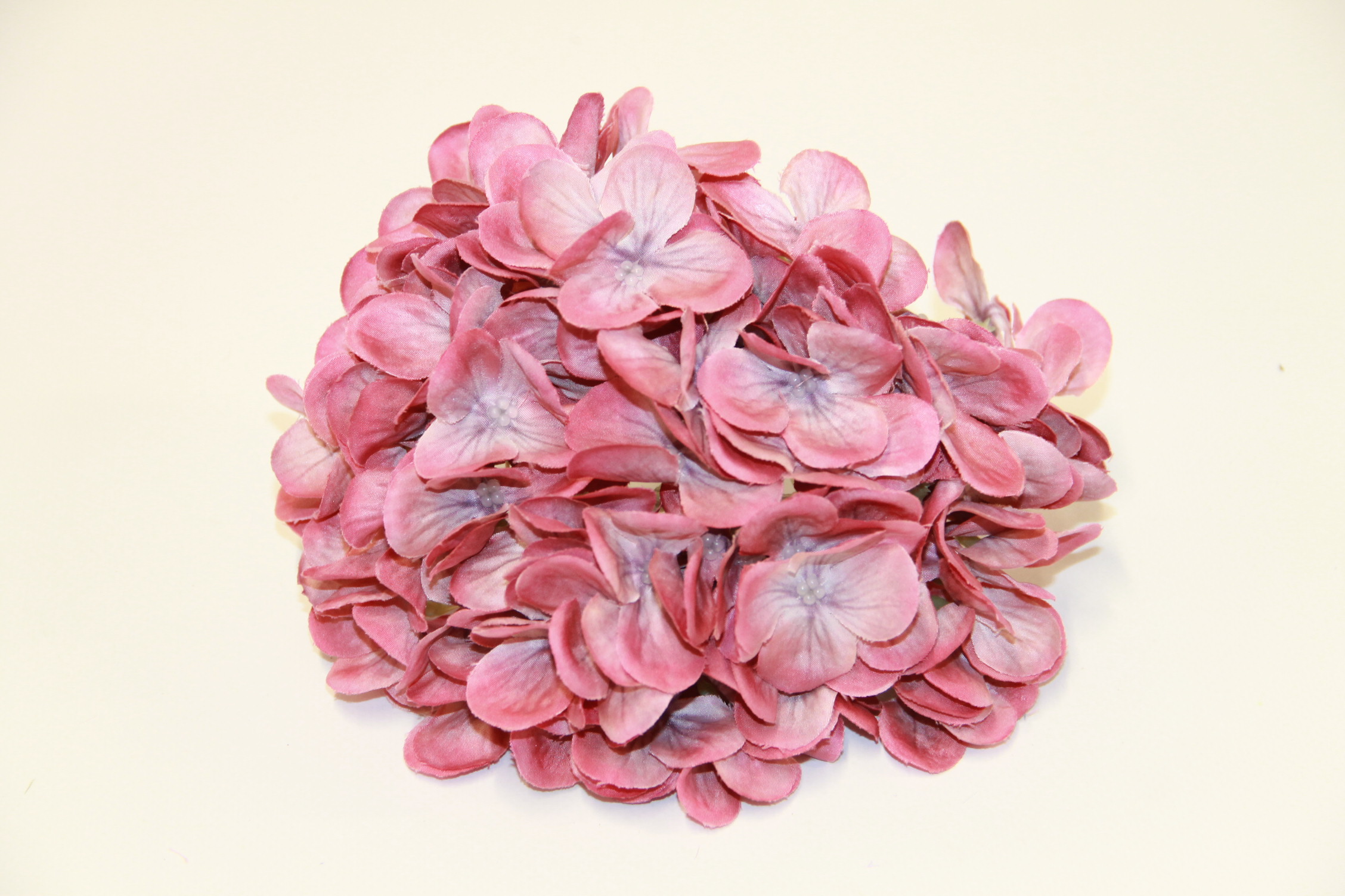 HORTENSJA WYROBOWA DUŻA • ": DIRTY PINK 13