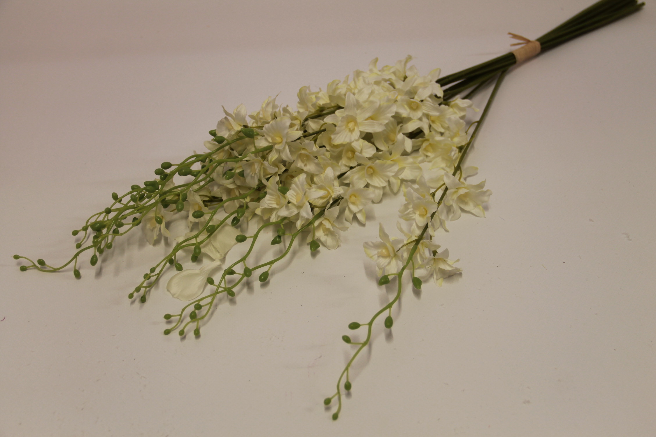 STORCZYK TAJLANDZKI • ,;: #2662 NEW CREAM